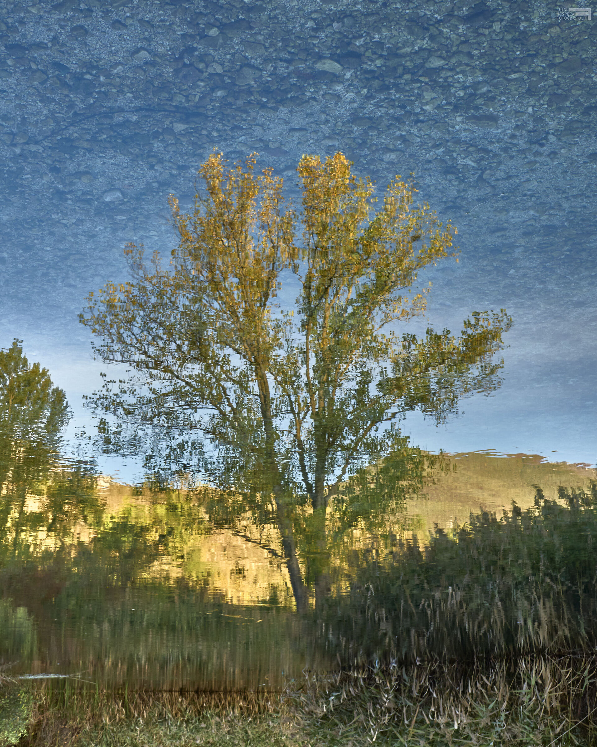 Gran Sasso: Reflection on the Tirino River - Abruzzo