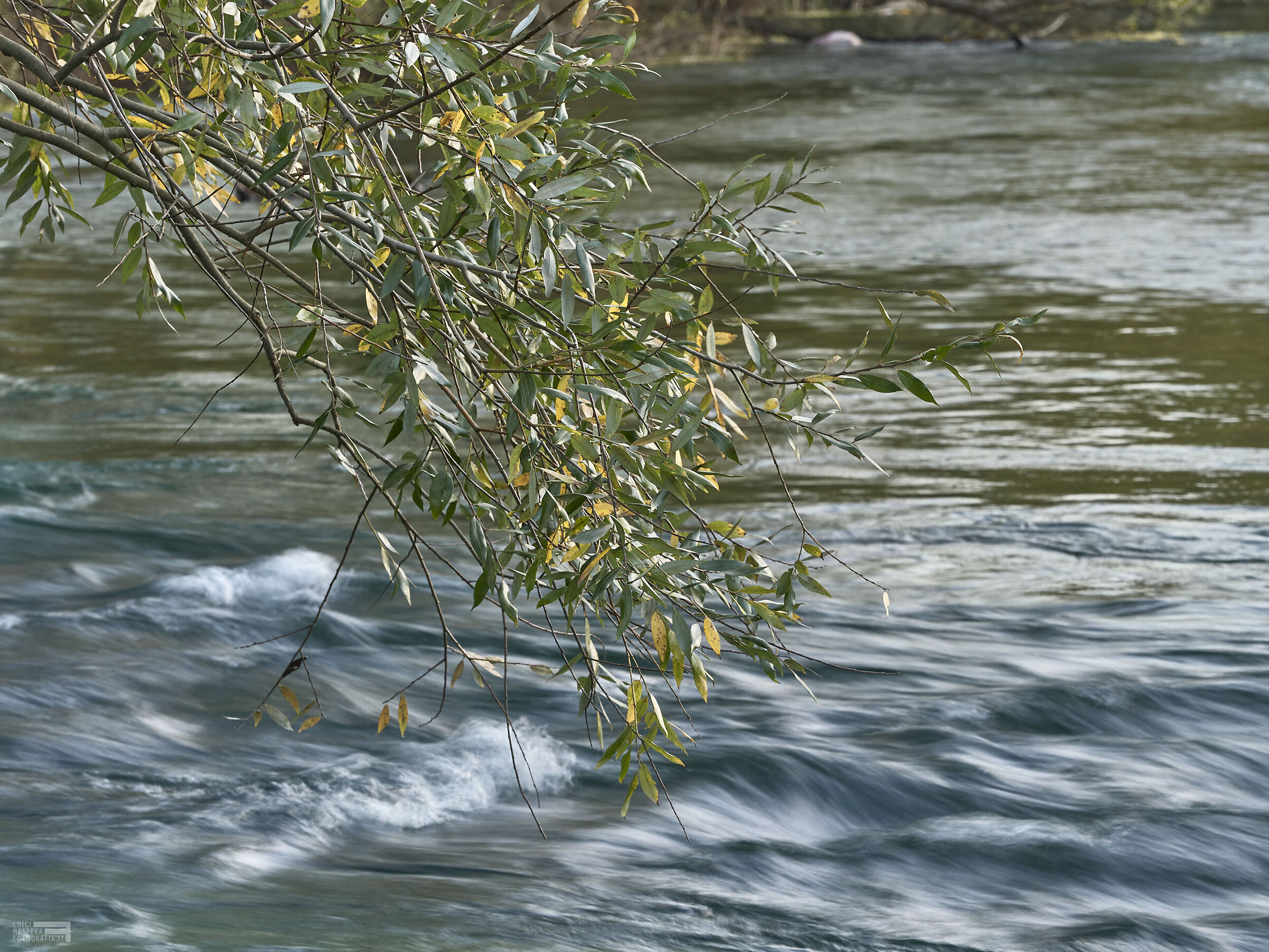 Gran Sasso: Tirino River - Abruzzo