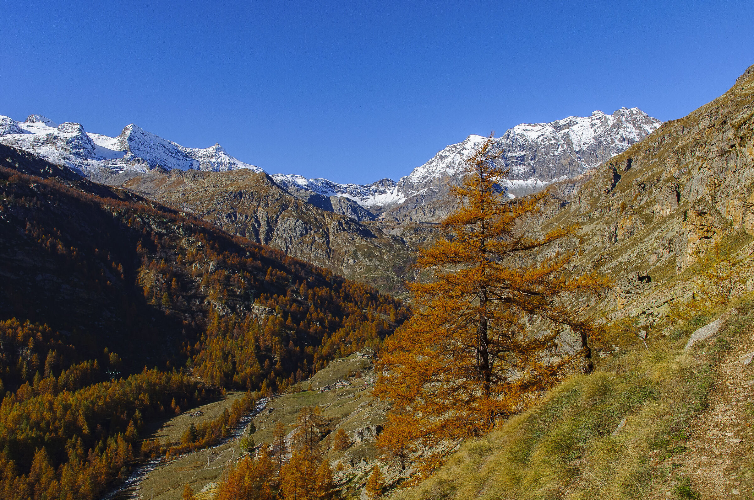 Ceresole Reale