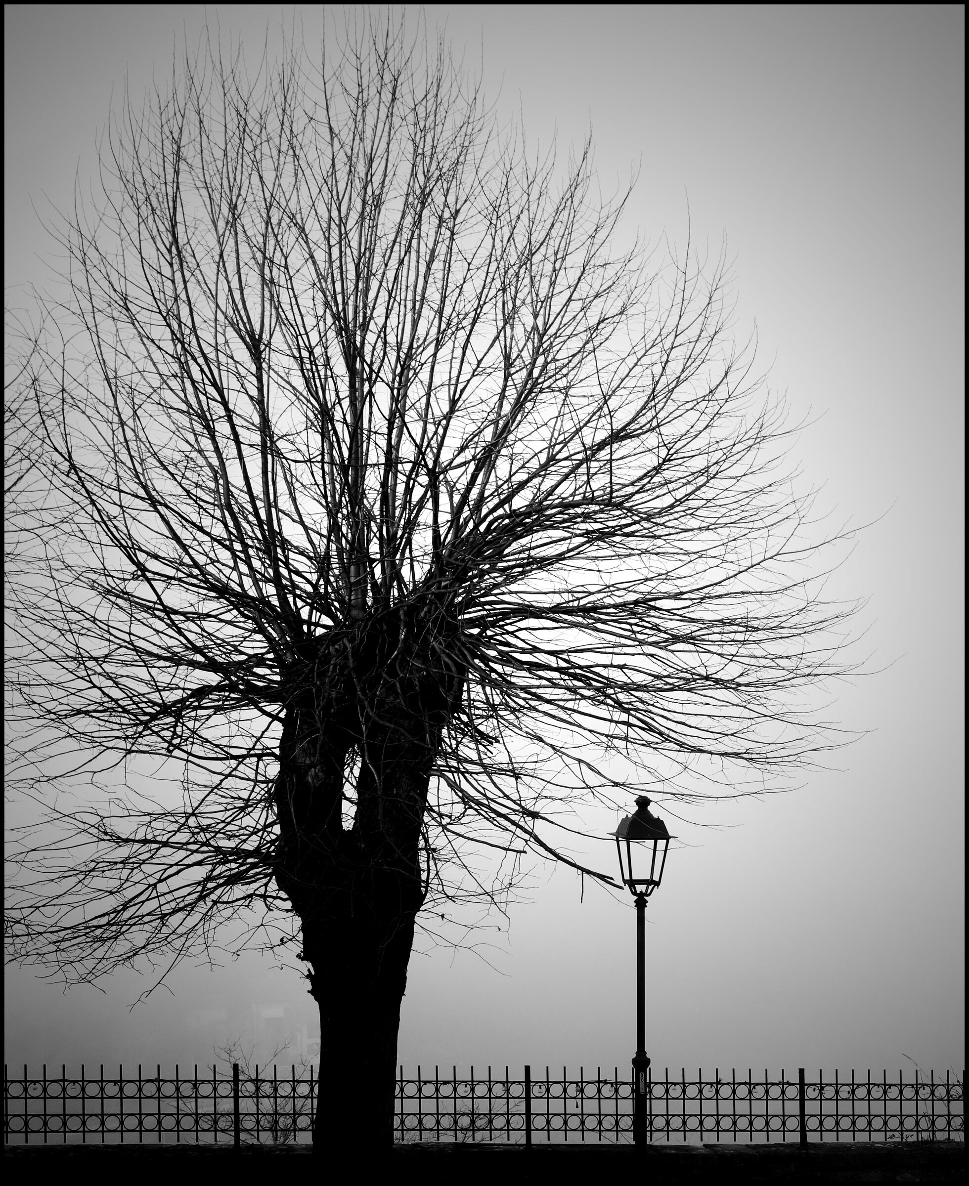 Fog