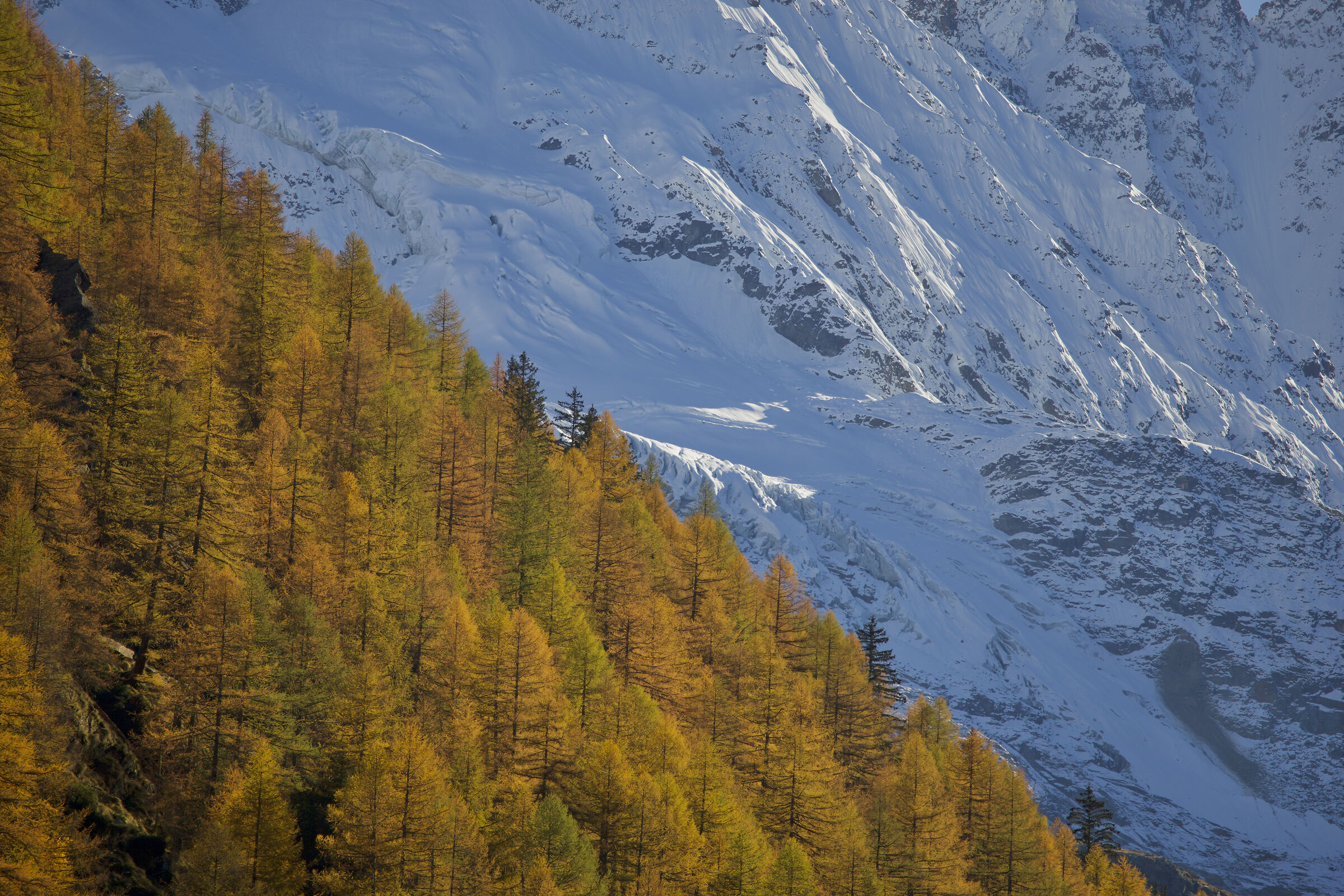 Autumn in Cogne (VDA)