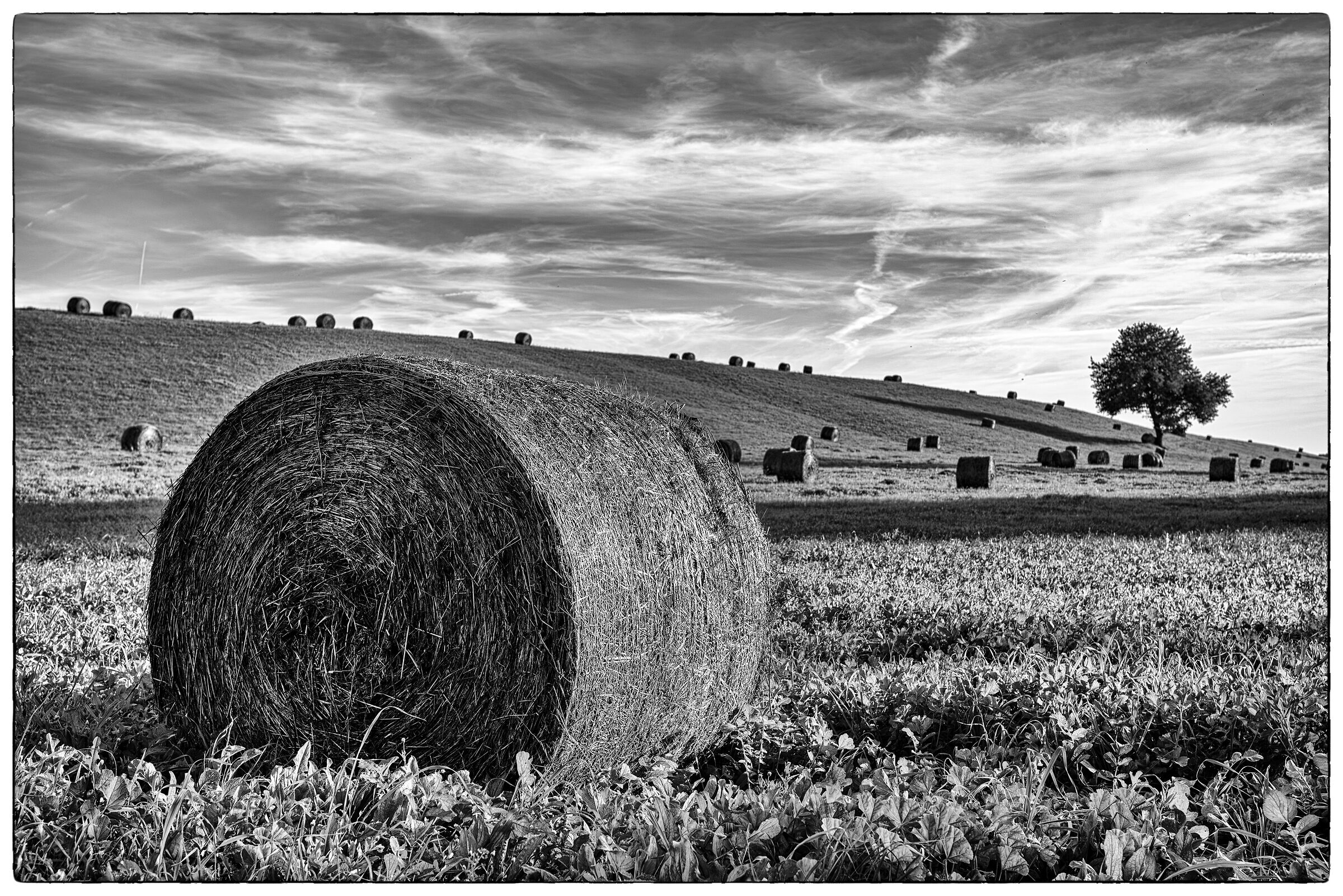 L'Italia Rurale e contadina