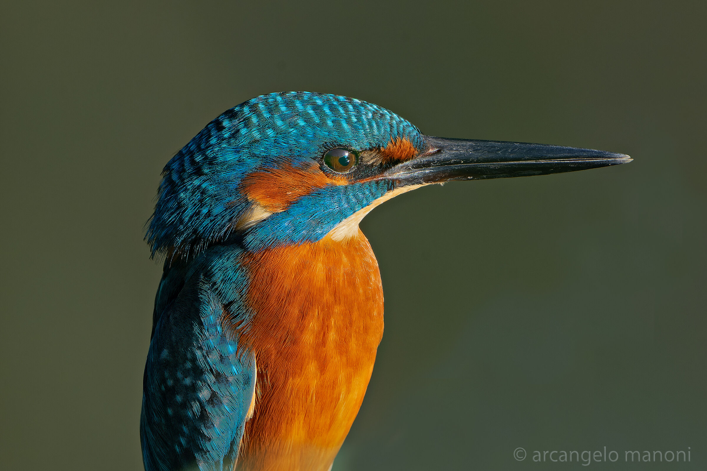 Ritratto al maschietto