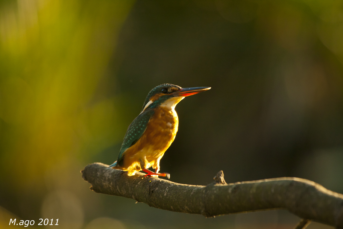 Baciato dal sole al tramonto