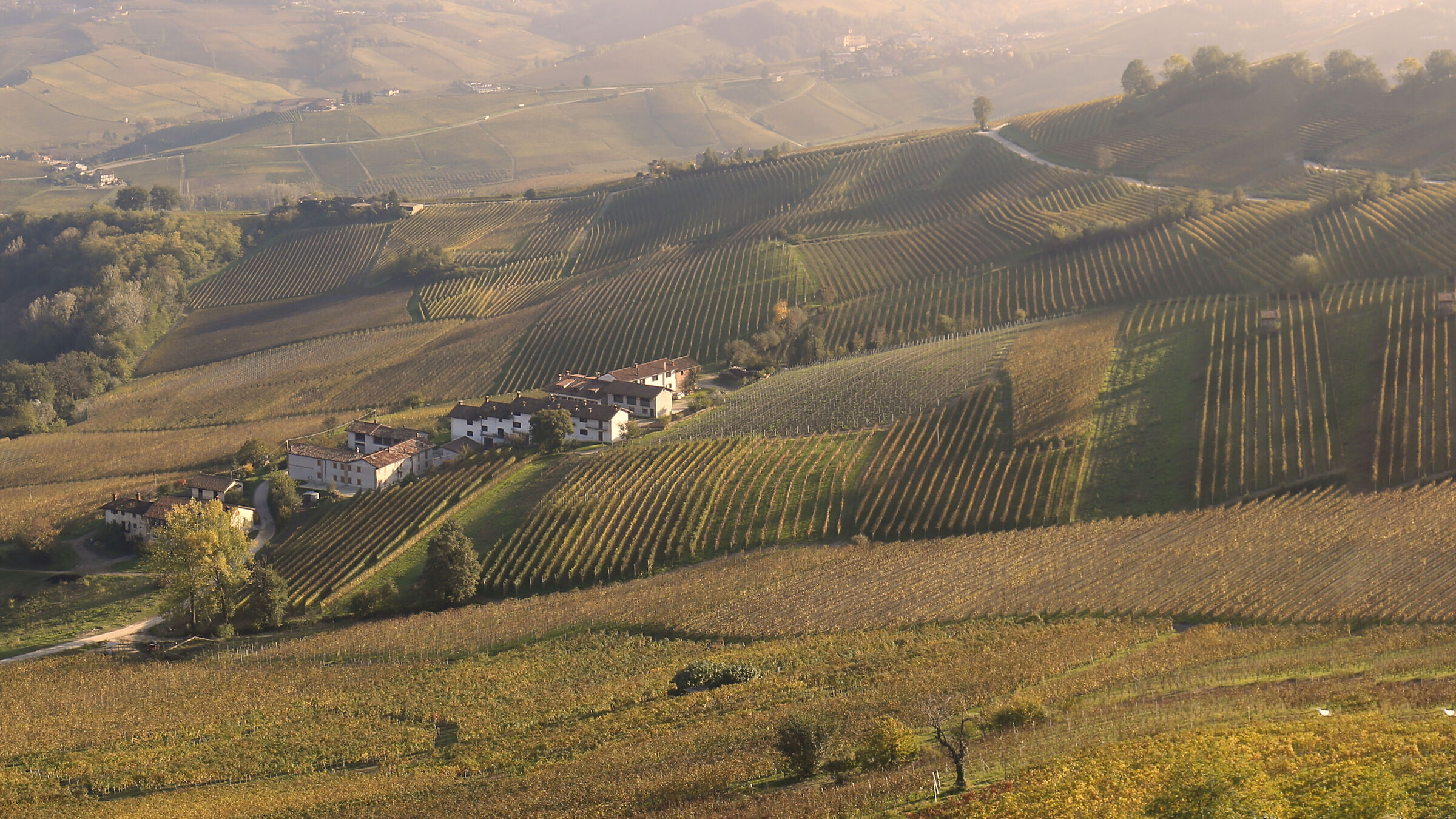 Langhe and Foschie