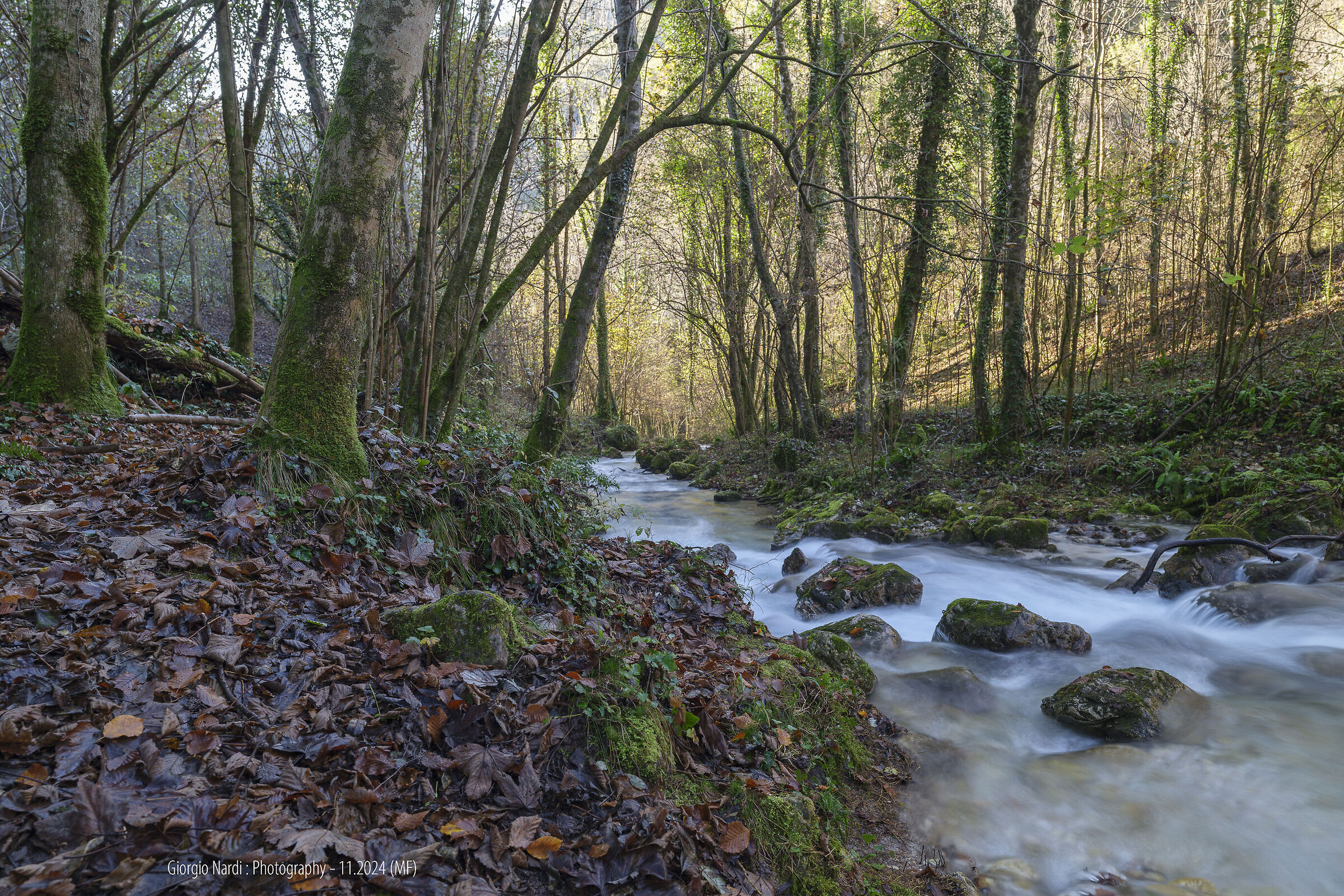 Autunno in alta valle 1 - Stagione 2024 (MF)