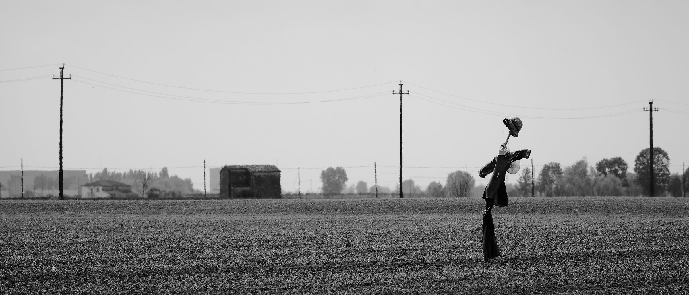 To the heart Ramon...