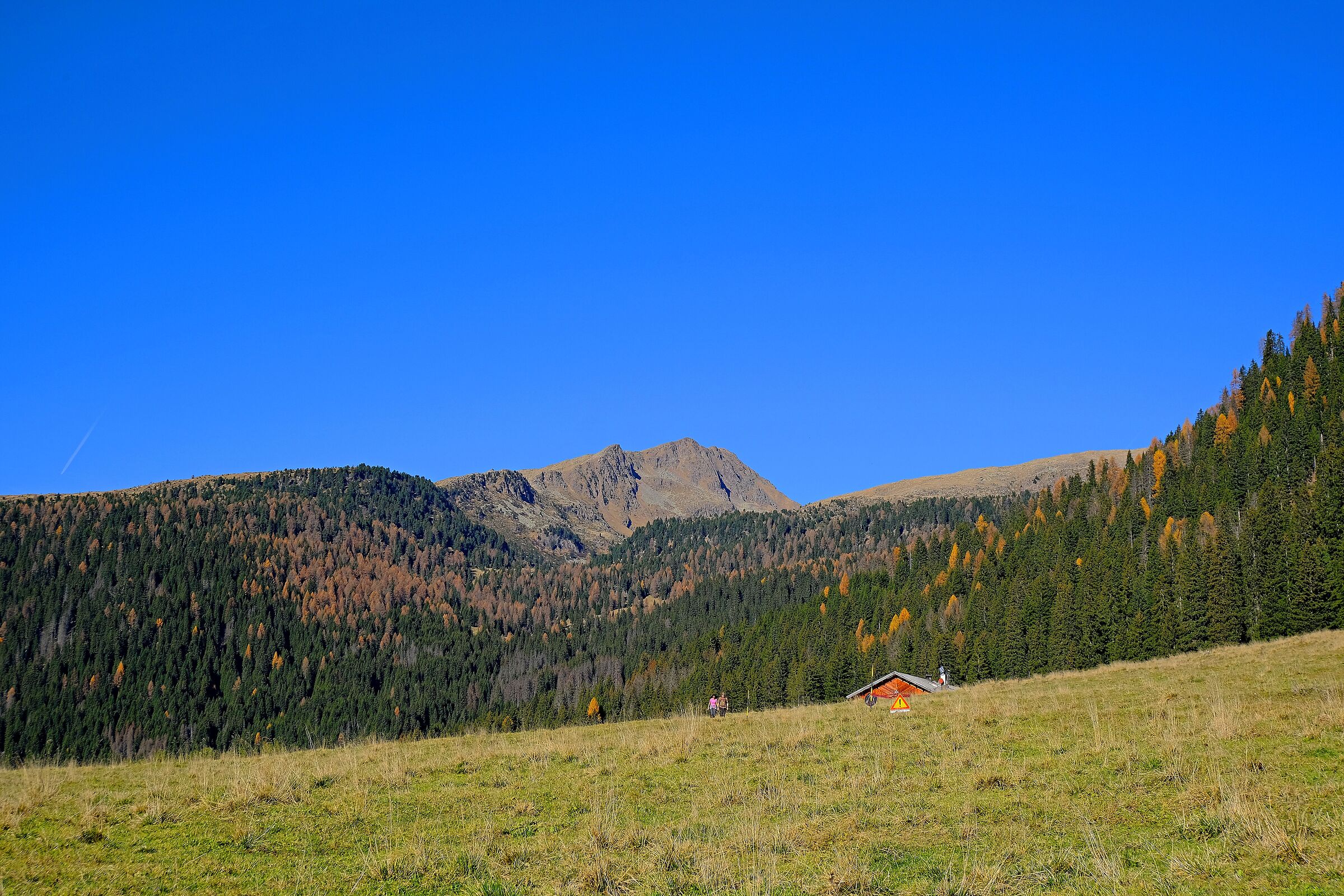 Val Venegia