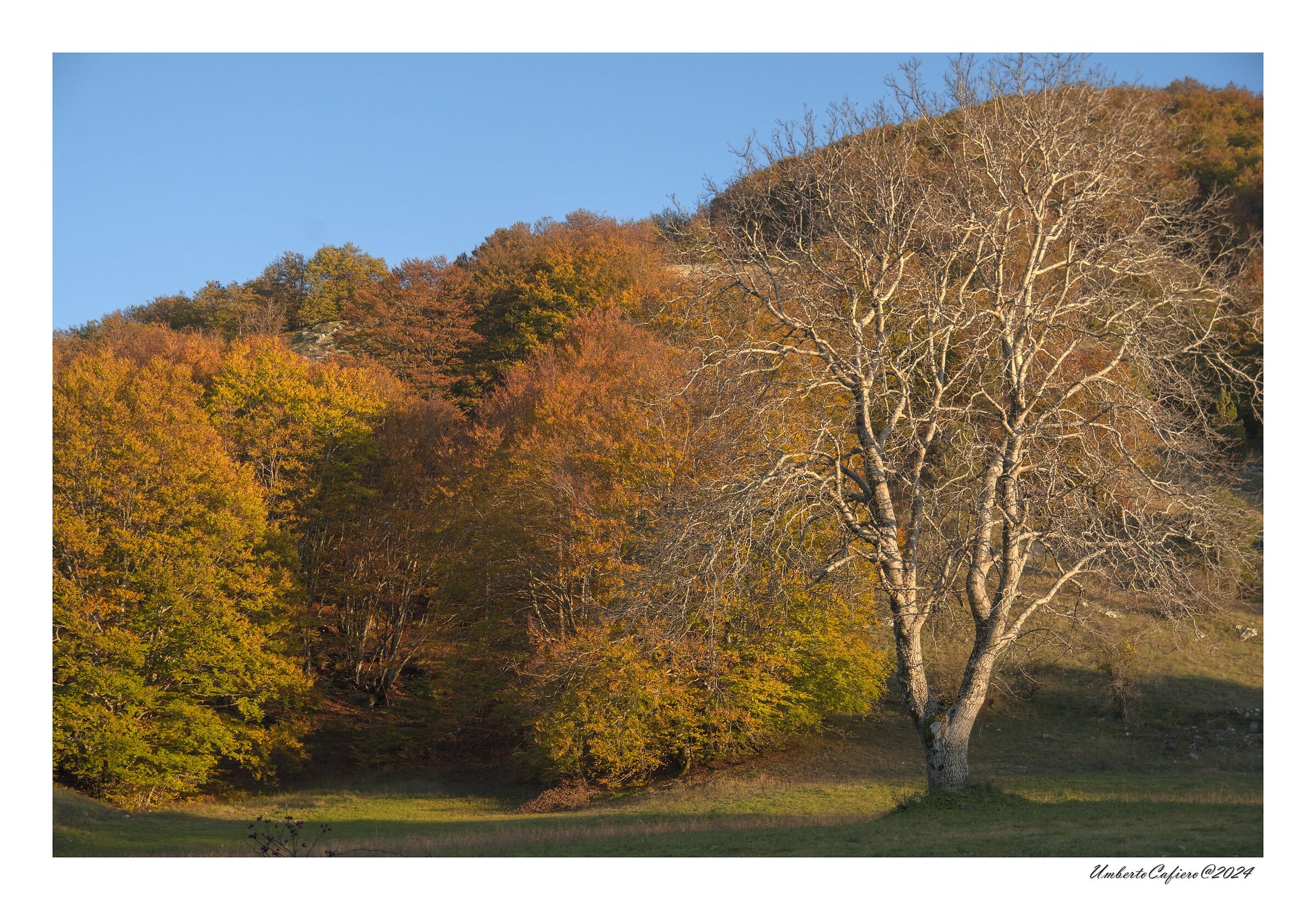 L'autunno nel suo vestito migliore