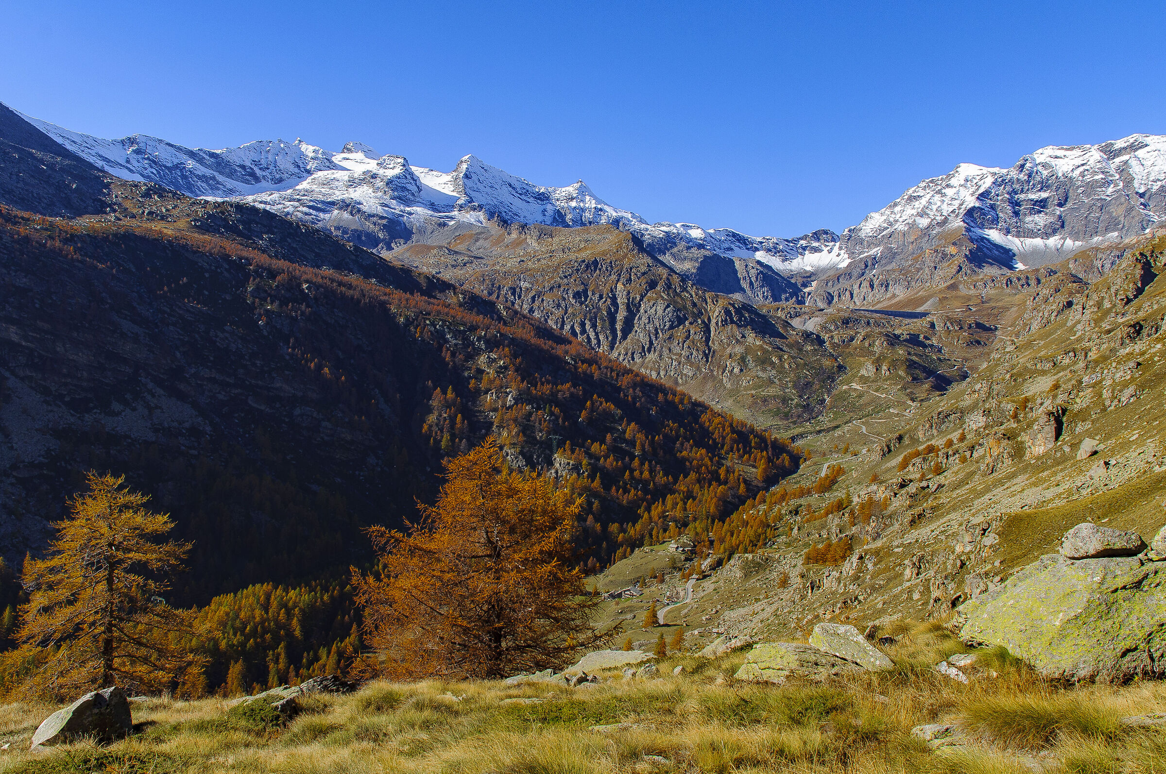 Ceresole Reale