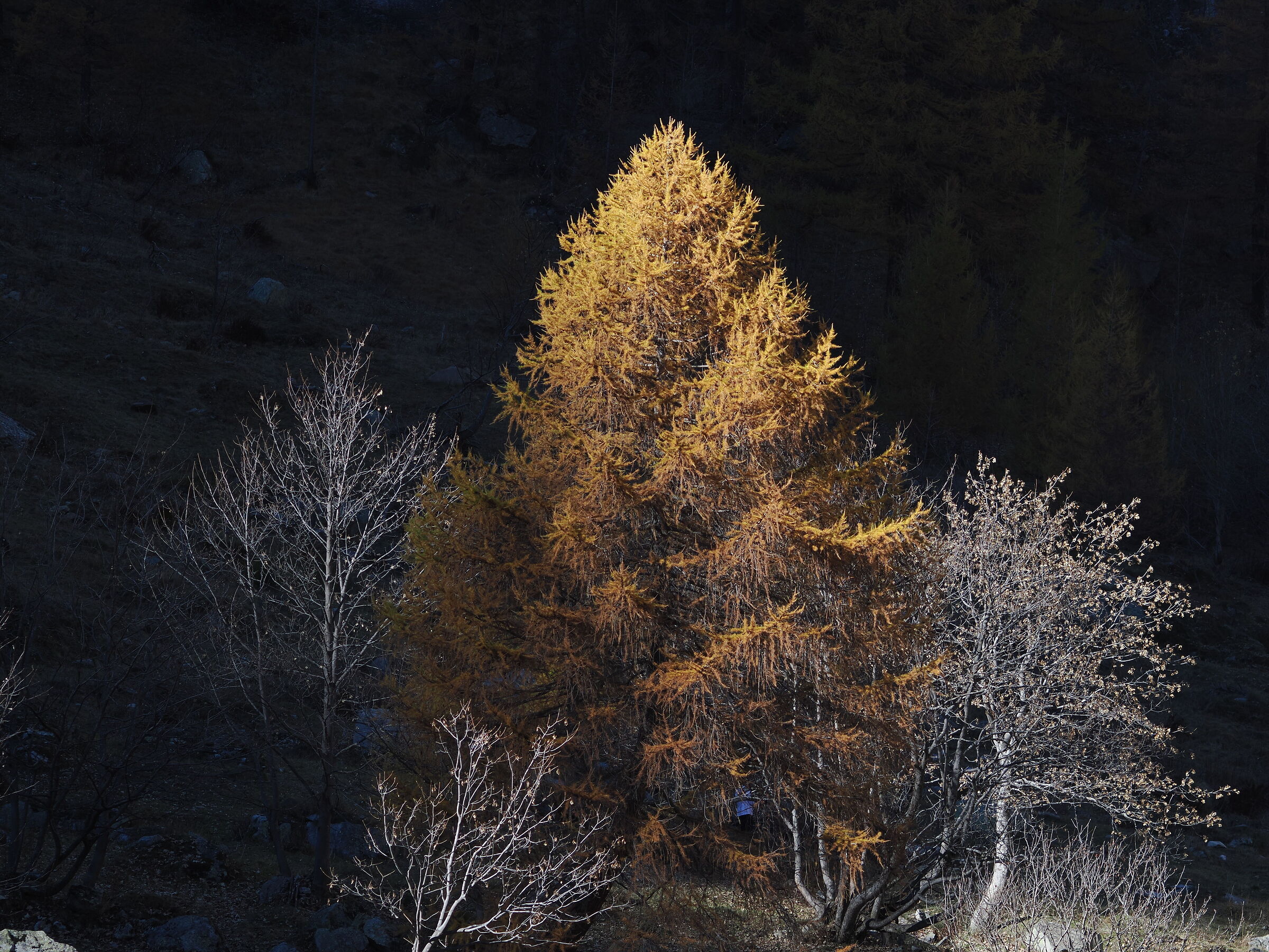 Autumn lights in Formazza_2
