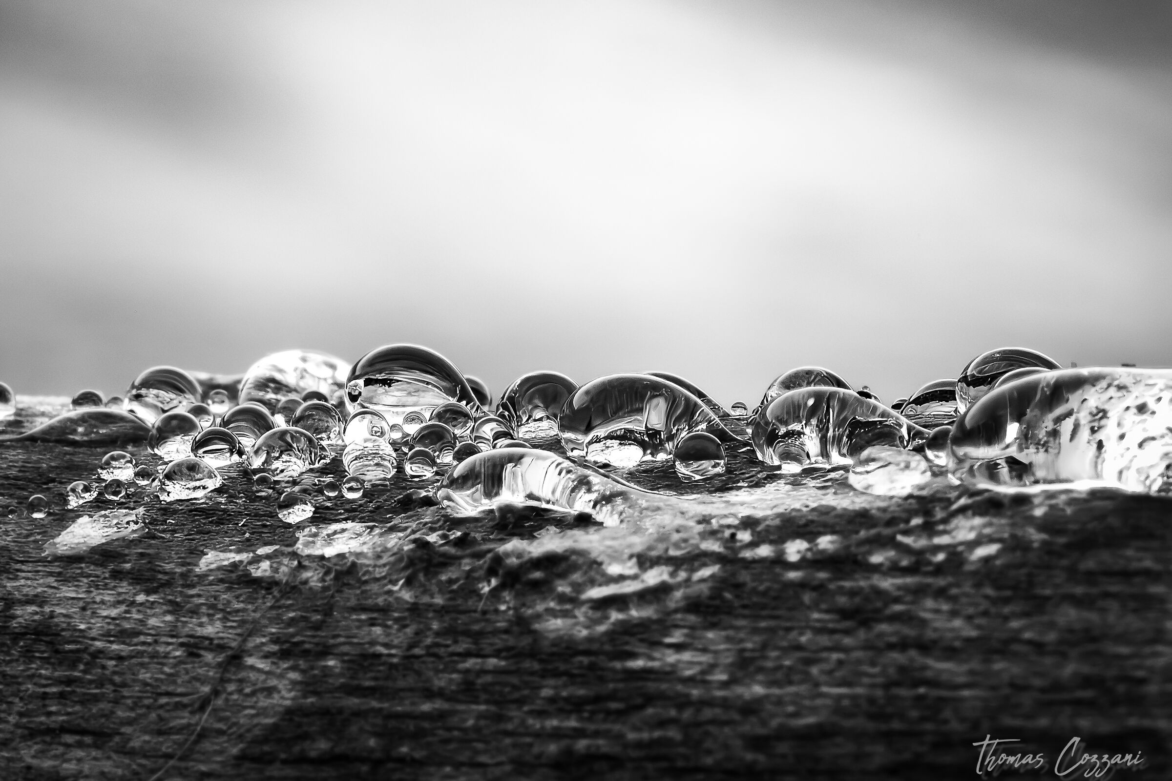 Untitled Photo