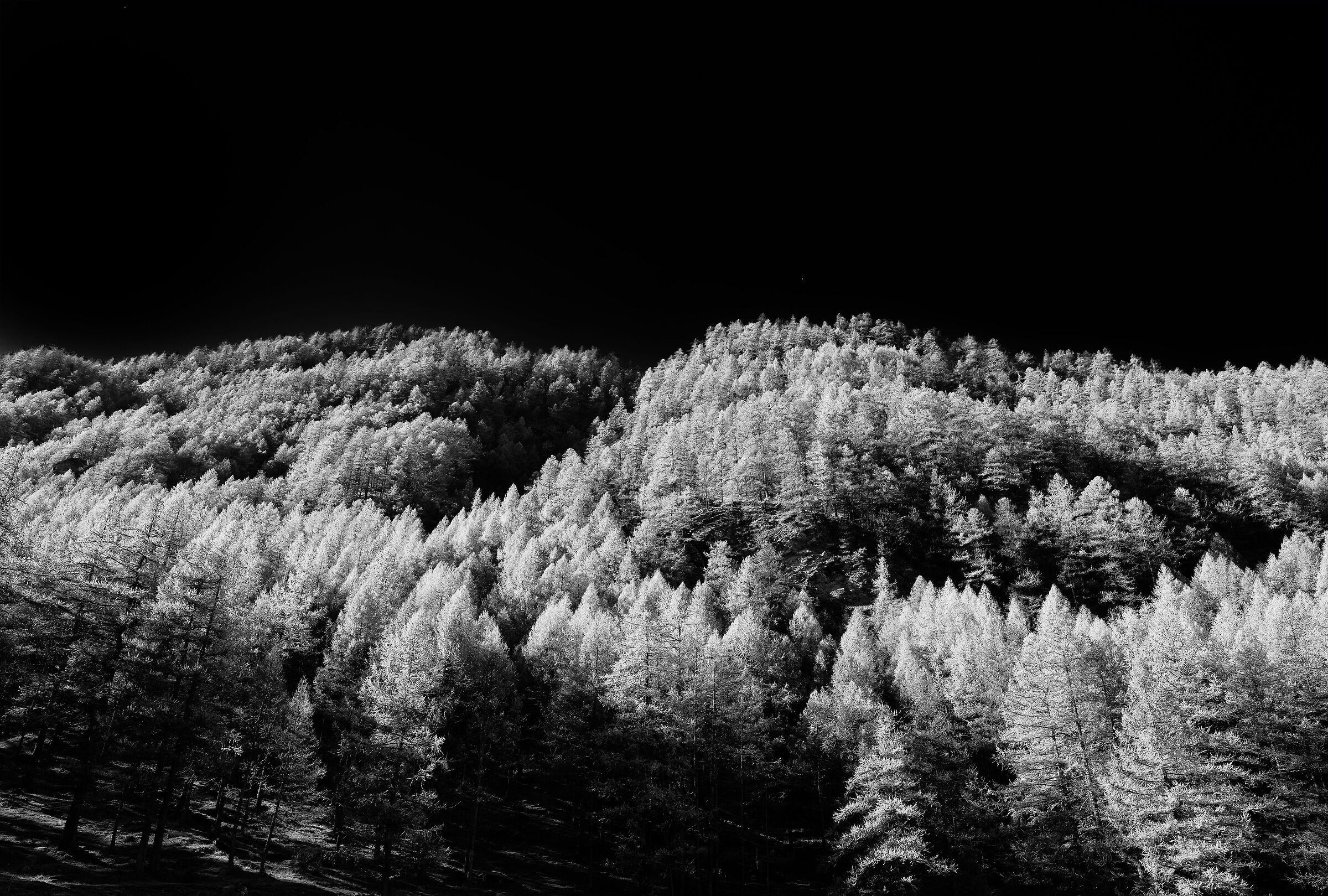 Val Troncea - Piemonte