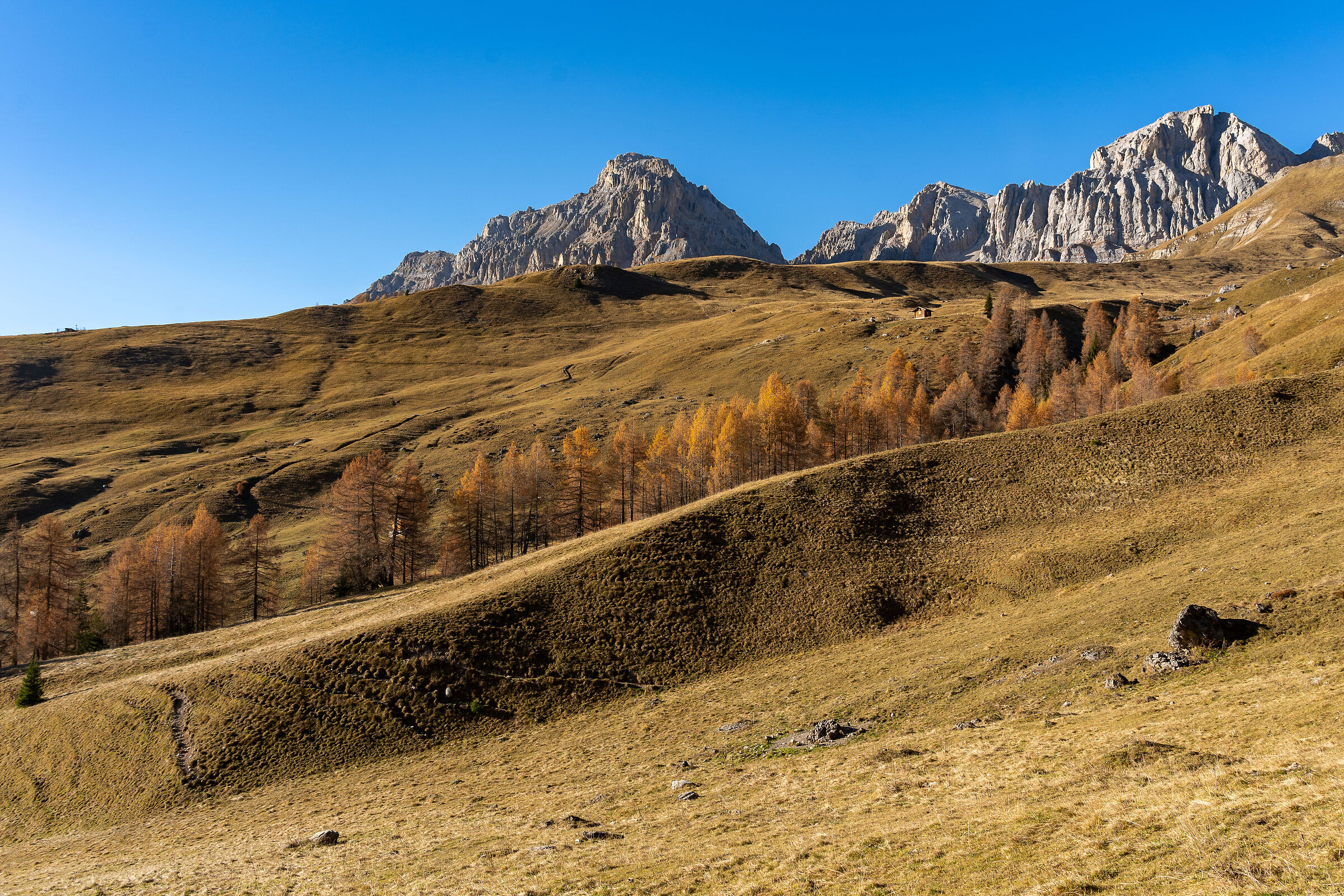 Autunno in Valfredda