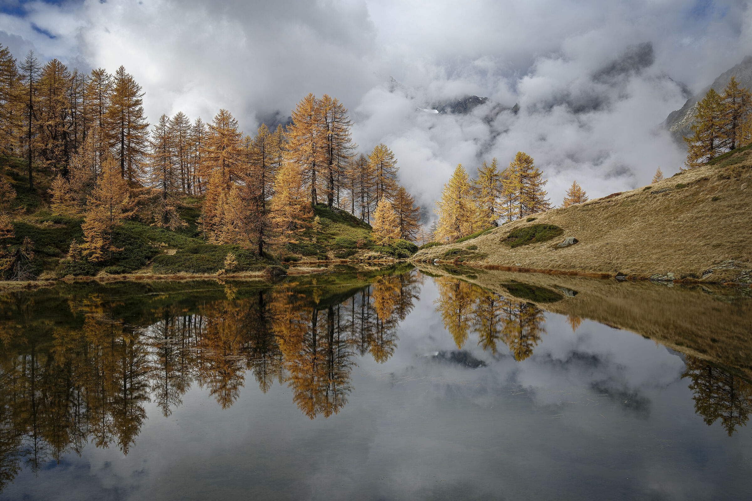Magical autumn
