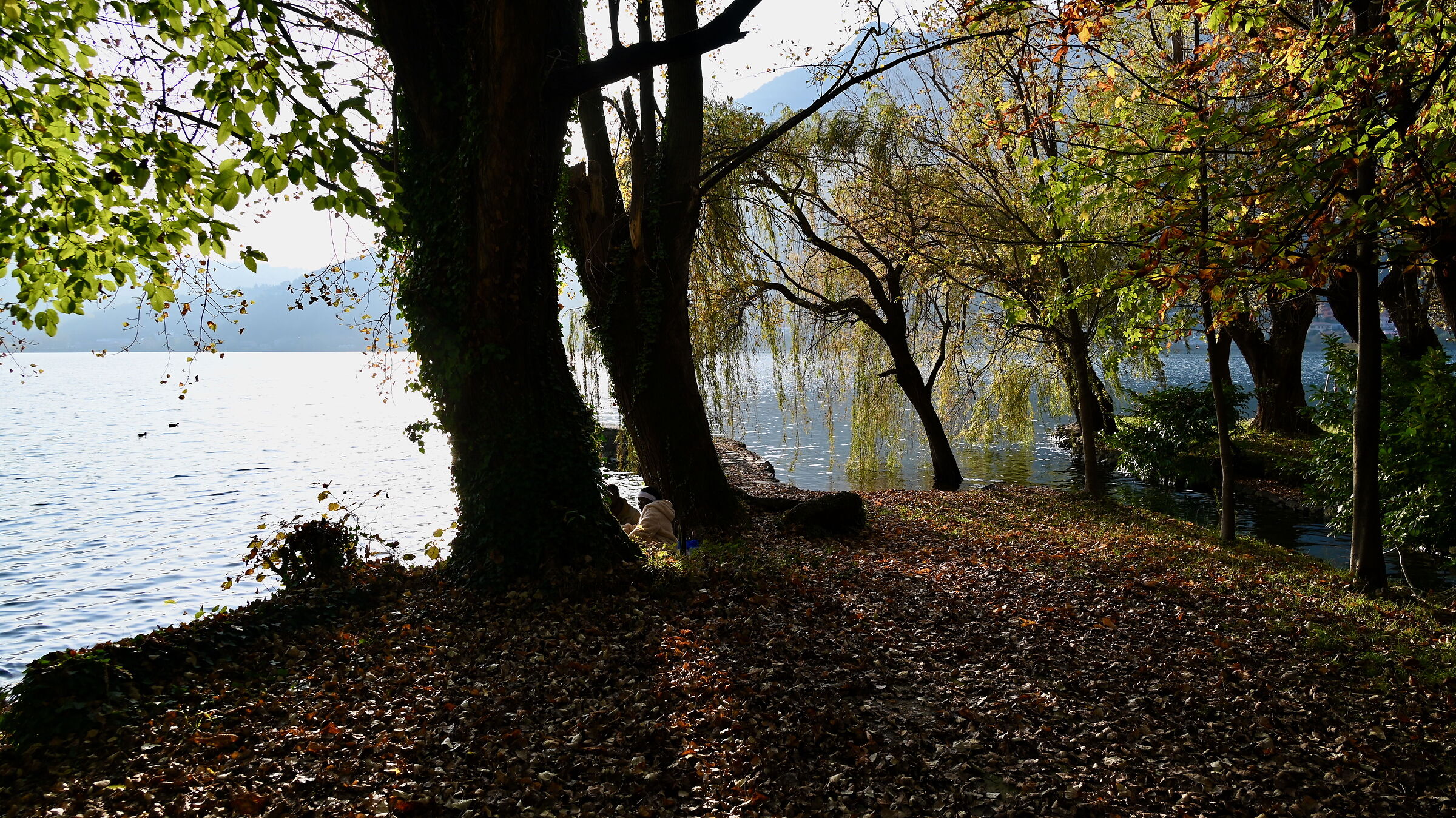 Autunno lungo il lago di Garlate