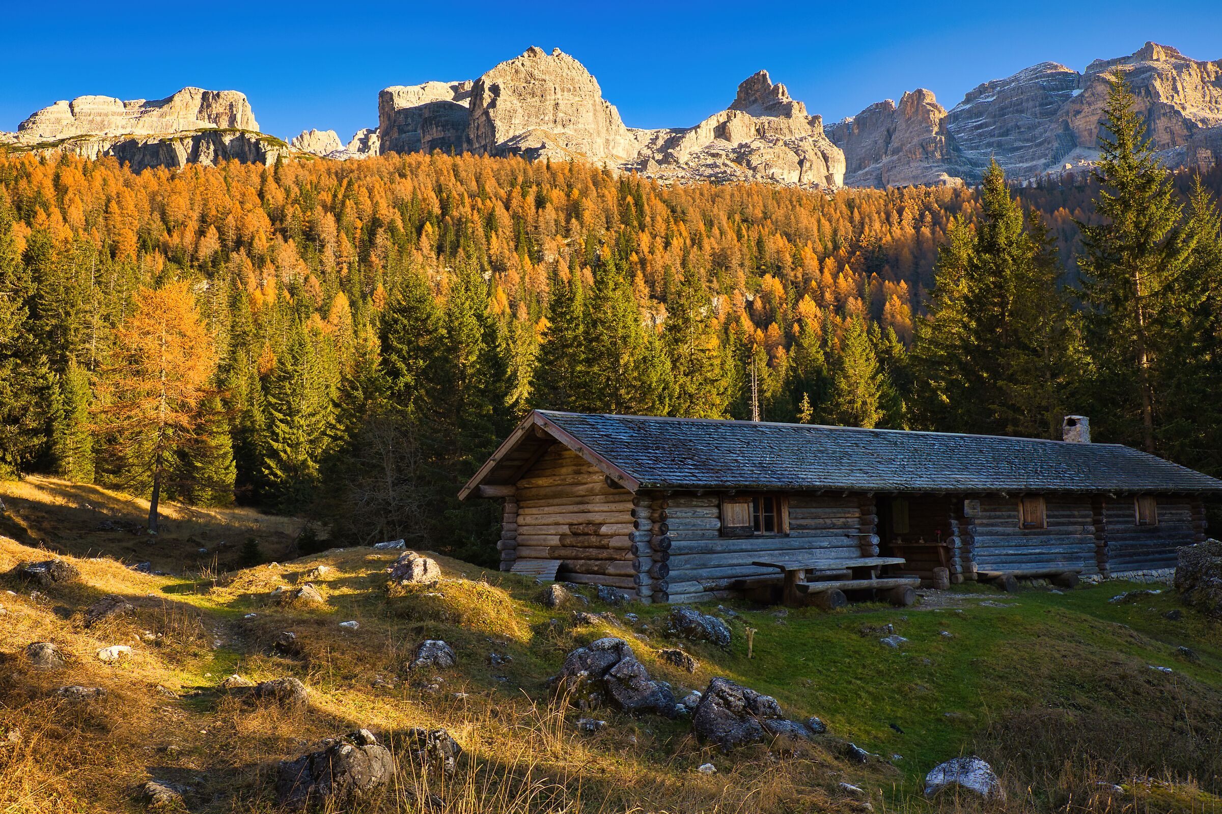 Malga Vallesinella alta