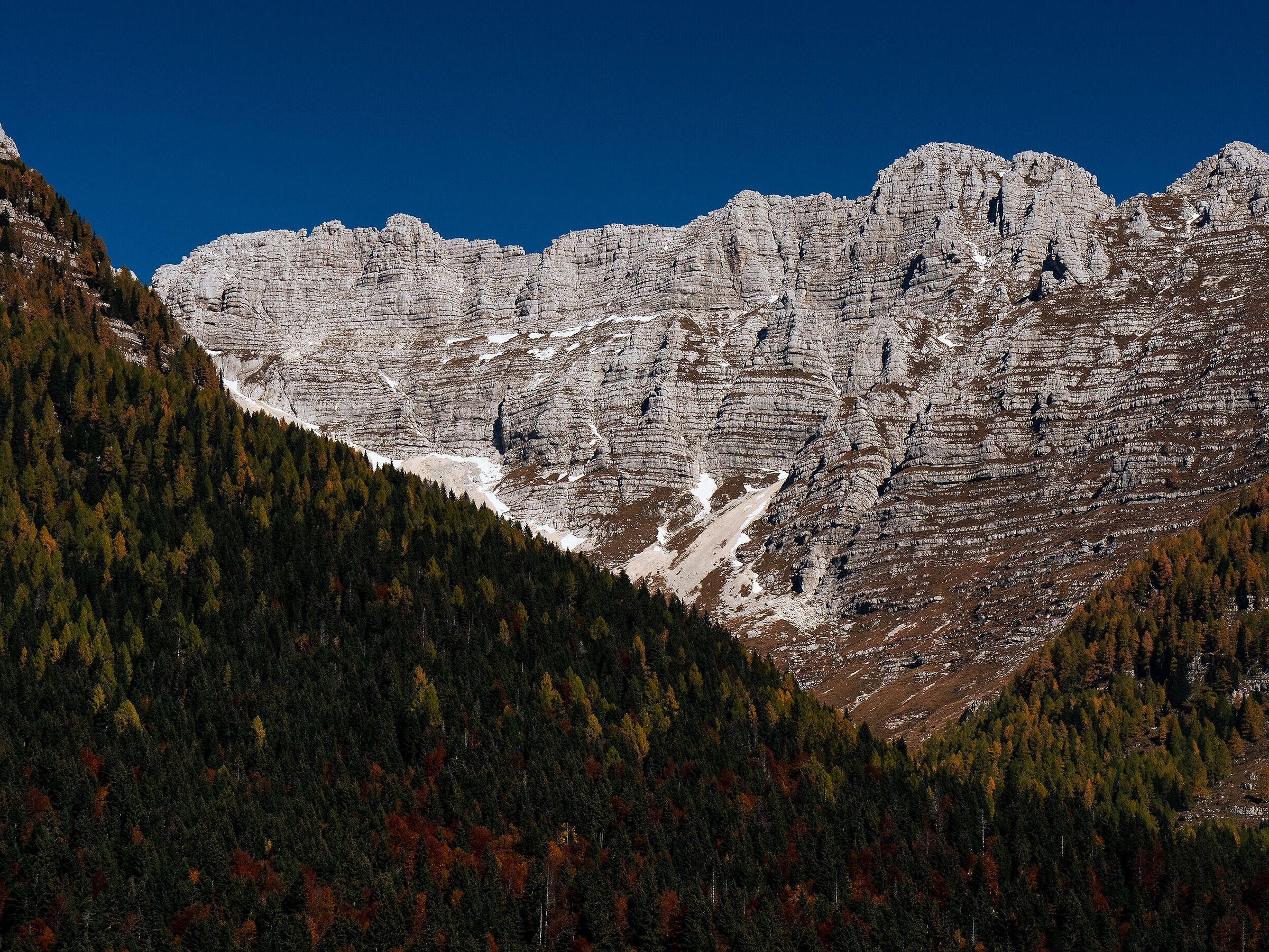 Autumn contrasts - Julian Alps