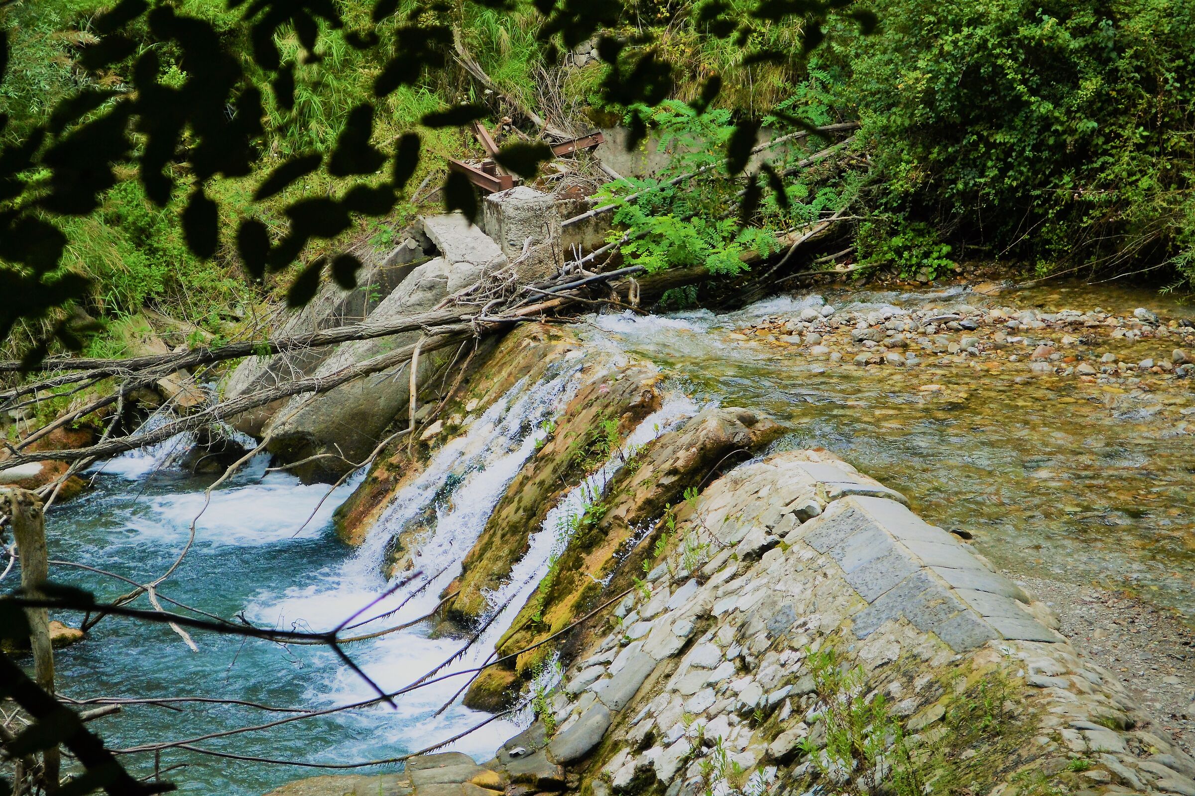 Acqua appena sorta