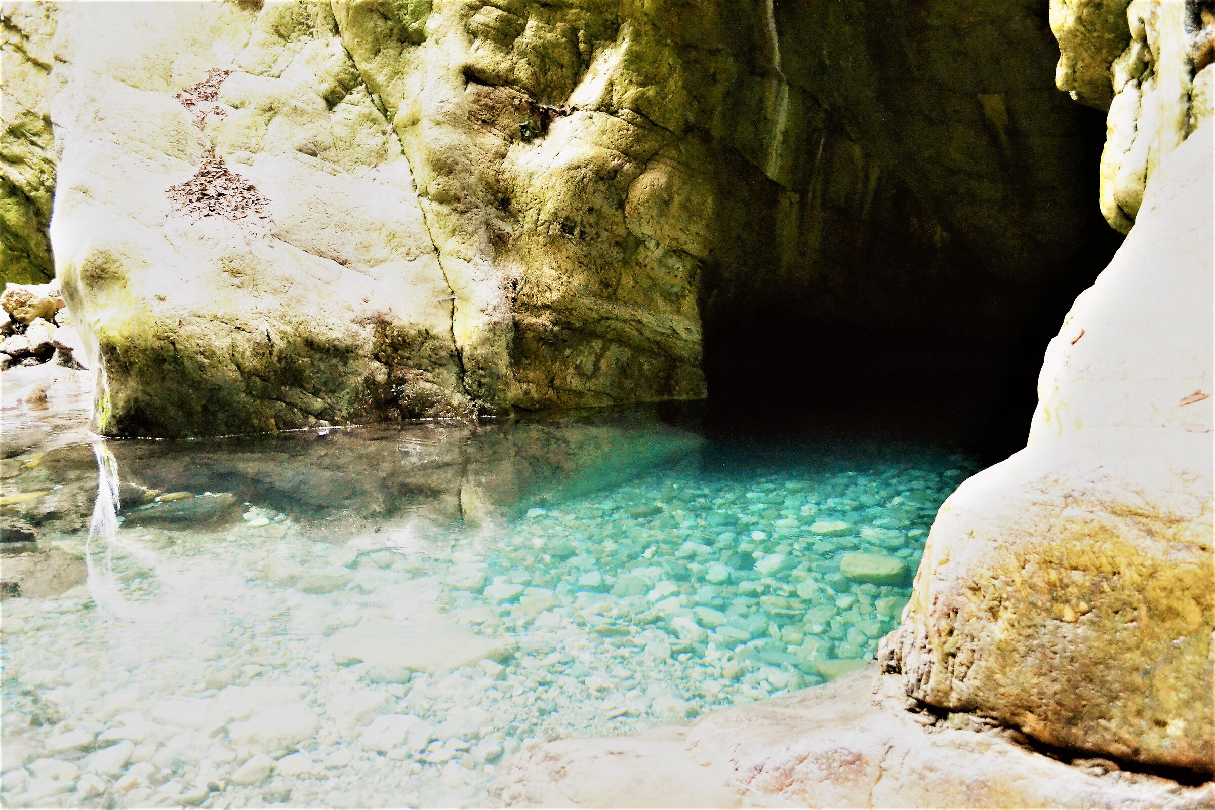 Inizio della piscina naturale