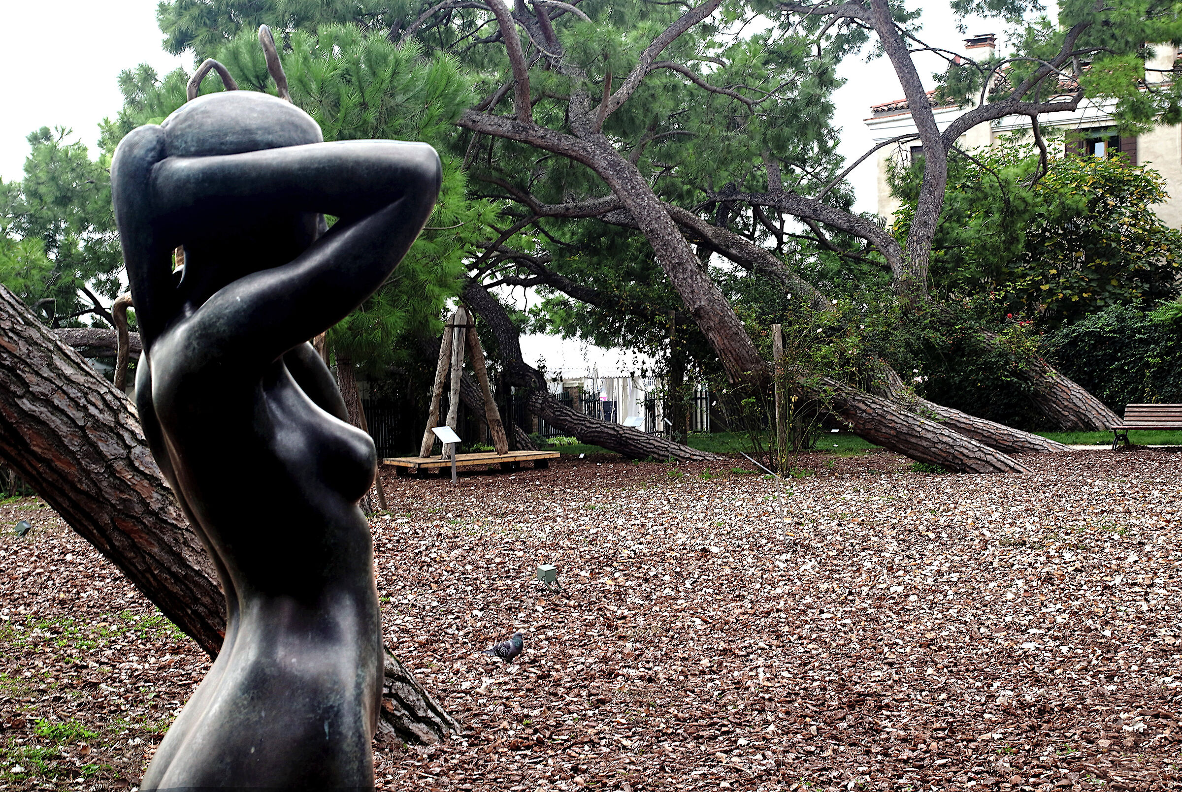 Venezia ... alla Biennale