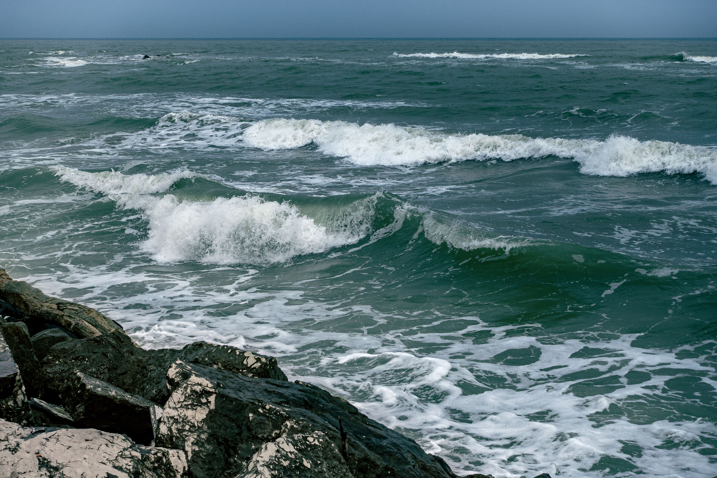 Pesaro Gale