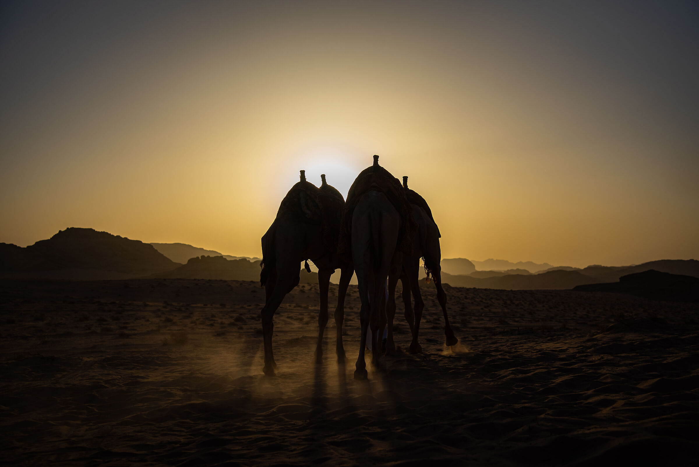 Wadi Rum