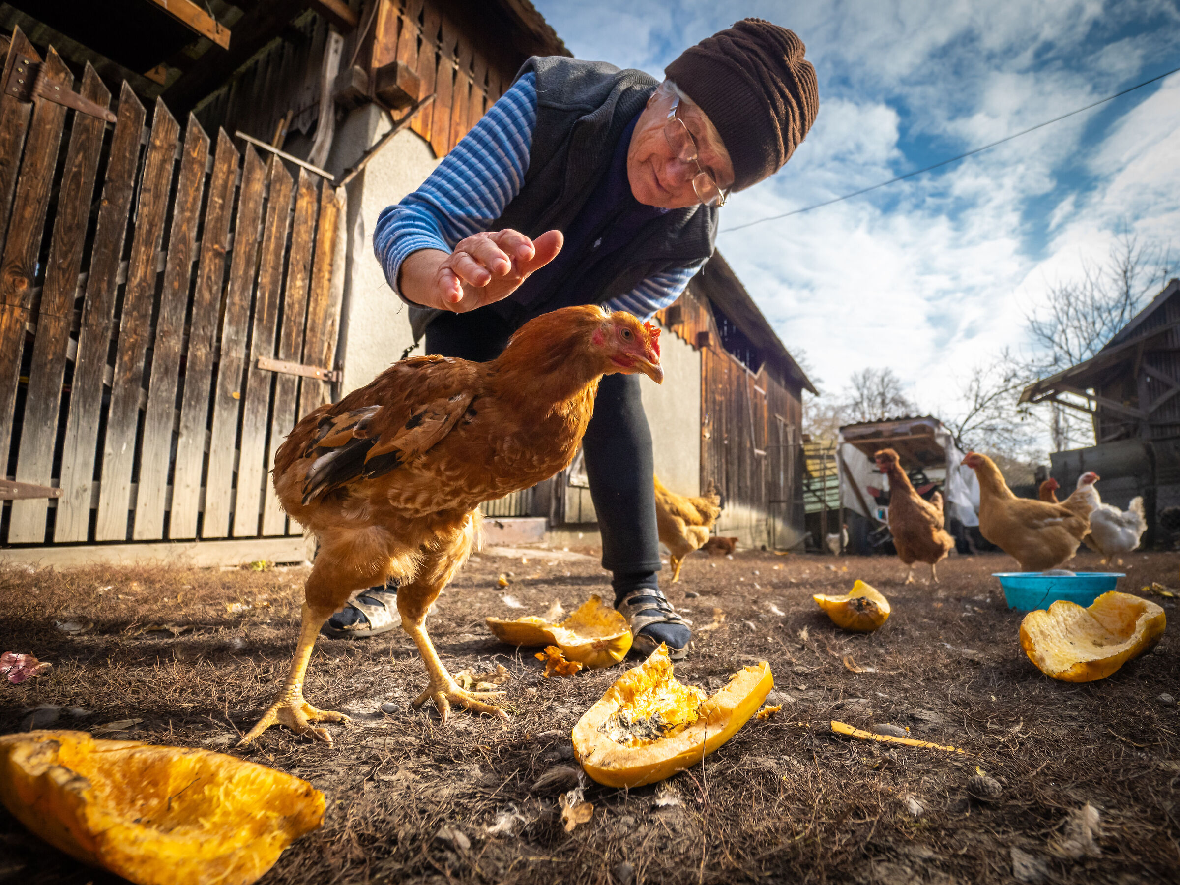 Gallina vecchia fa buon brodo