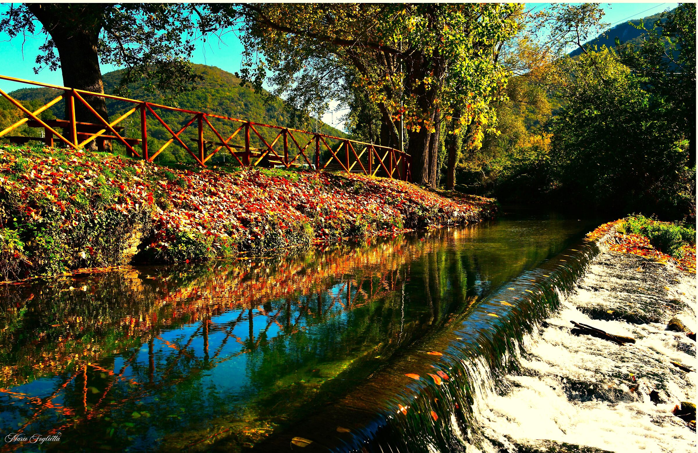 The colors of autumn