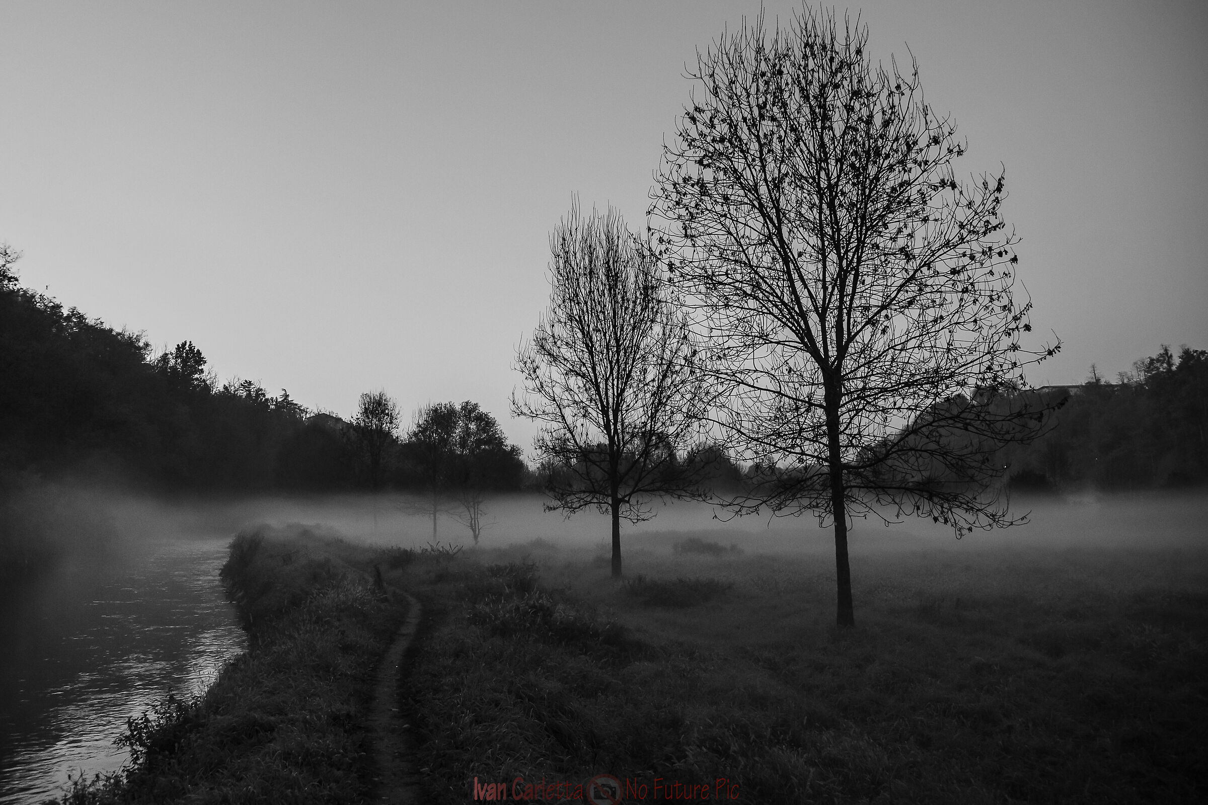Passeggiata nella nebbia