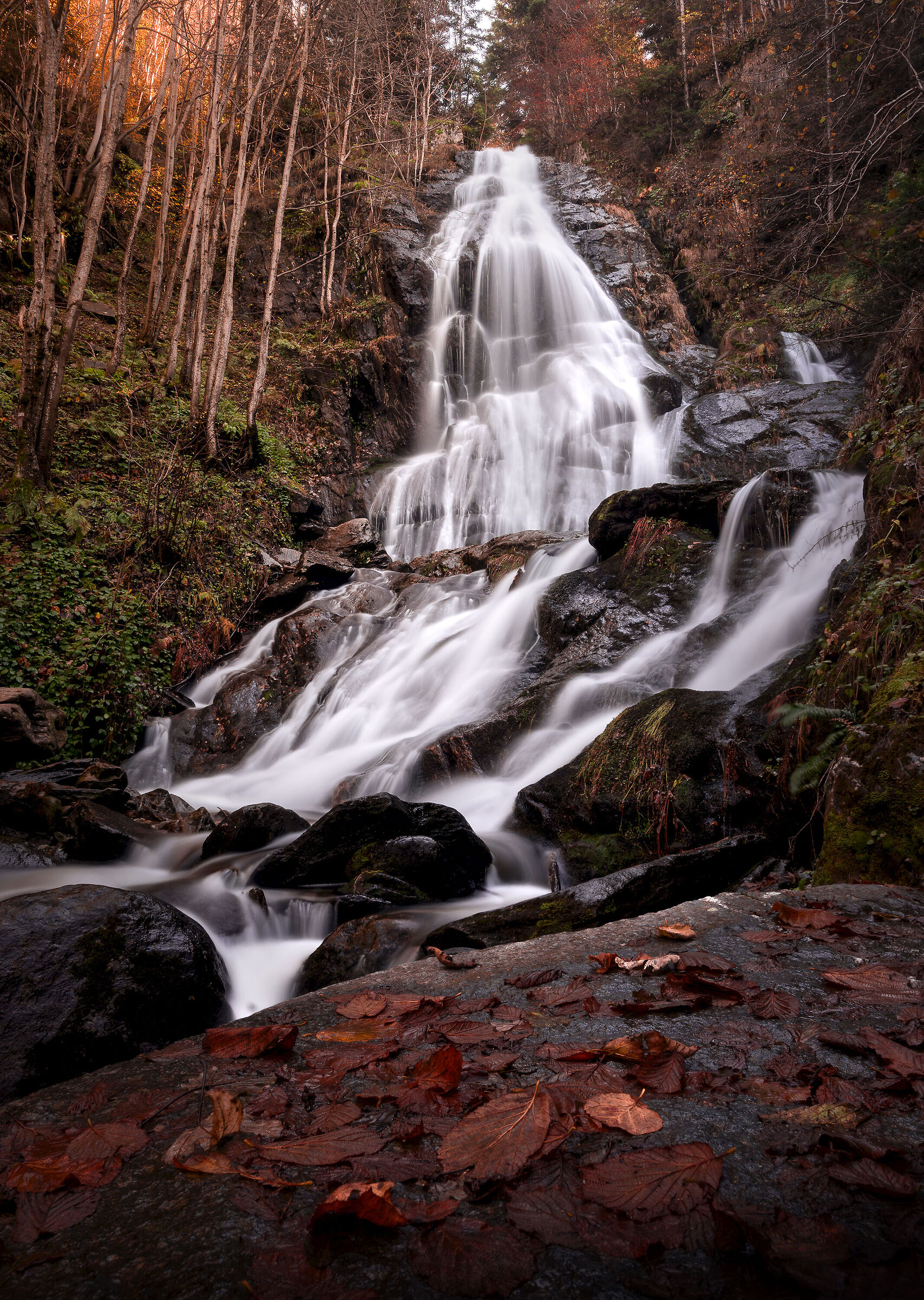 Pesio Valley dressed in Autumn