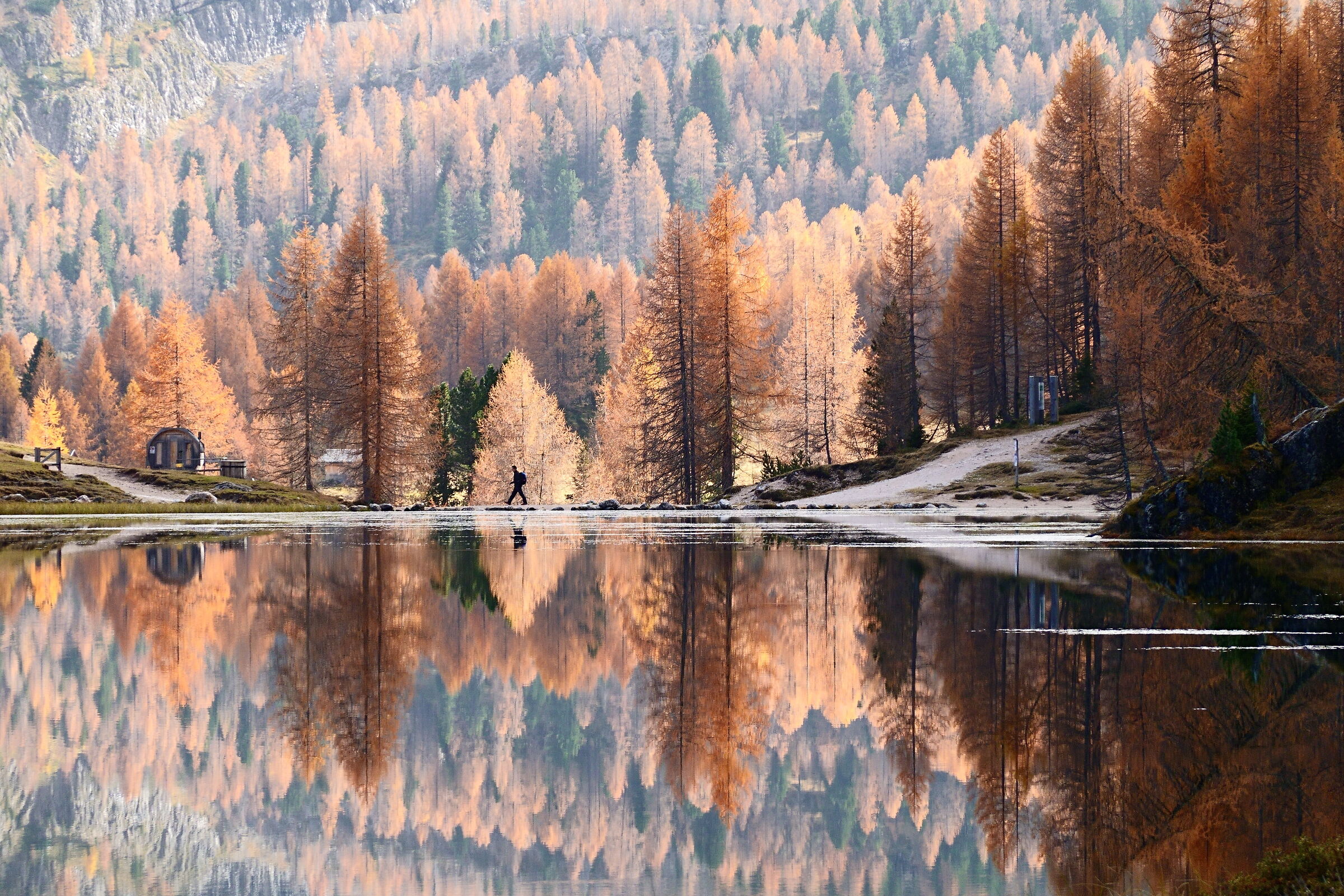 Lago Federa, Croda da Lago - Belluno