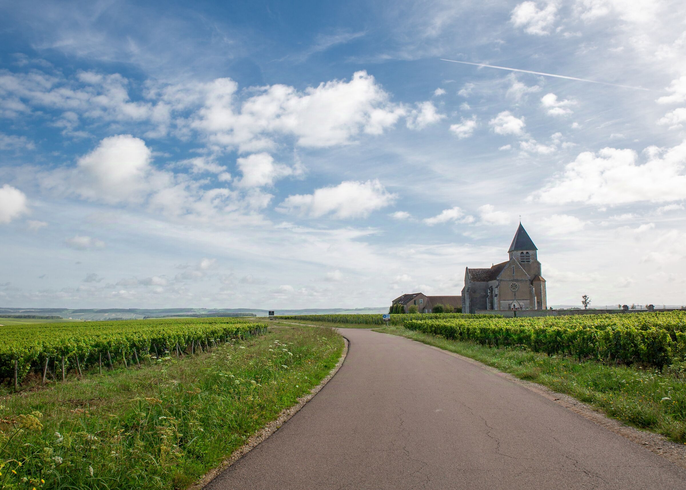 Chiese tra le vigne