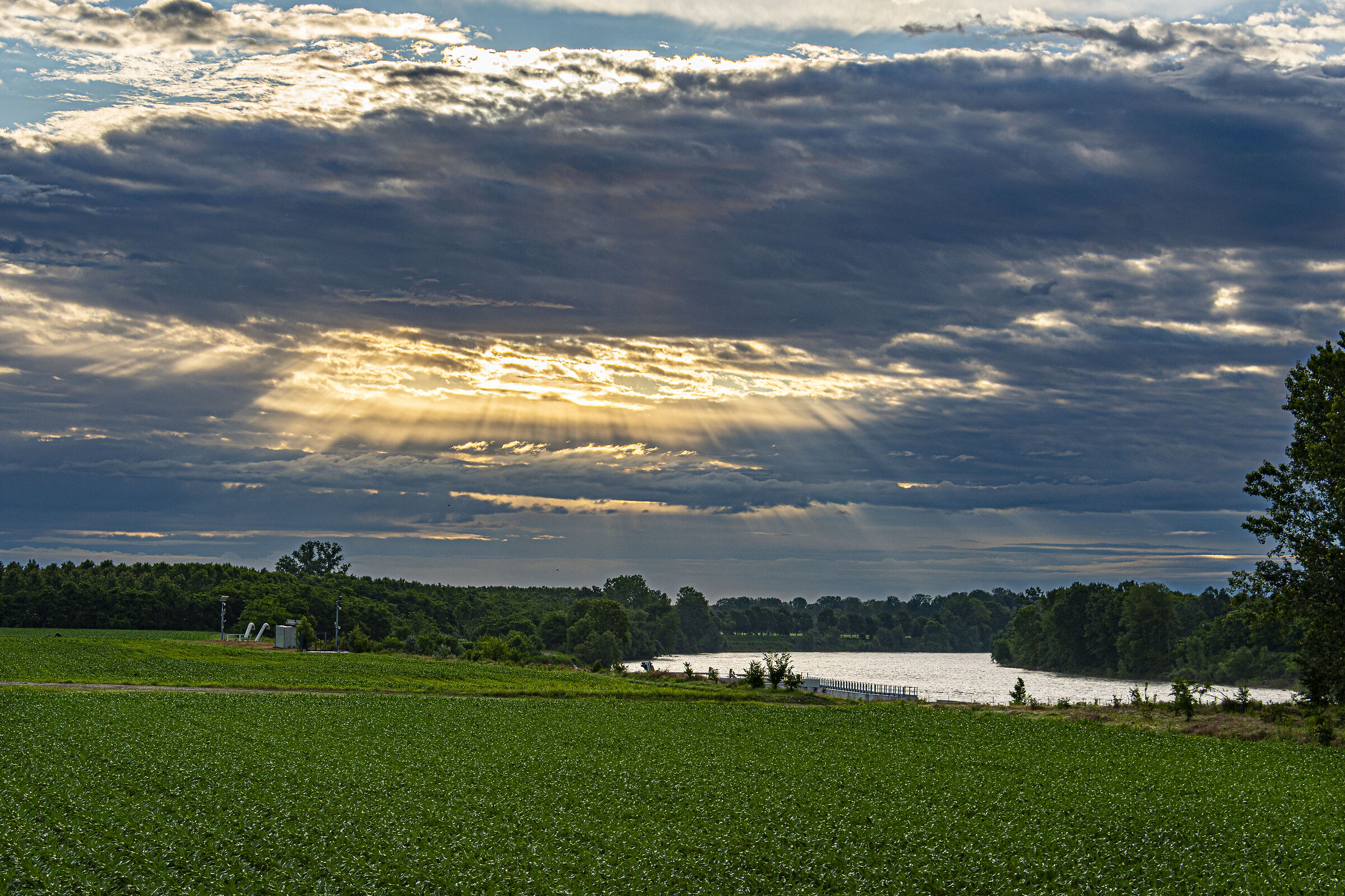 With gold in my mouth