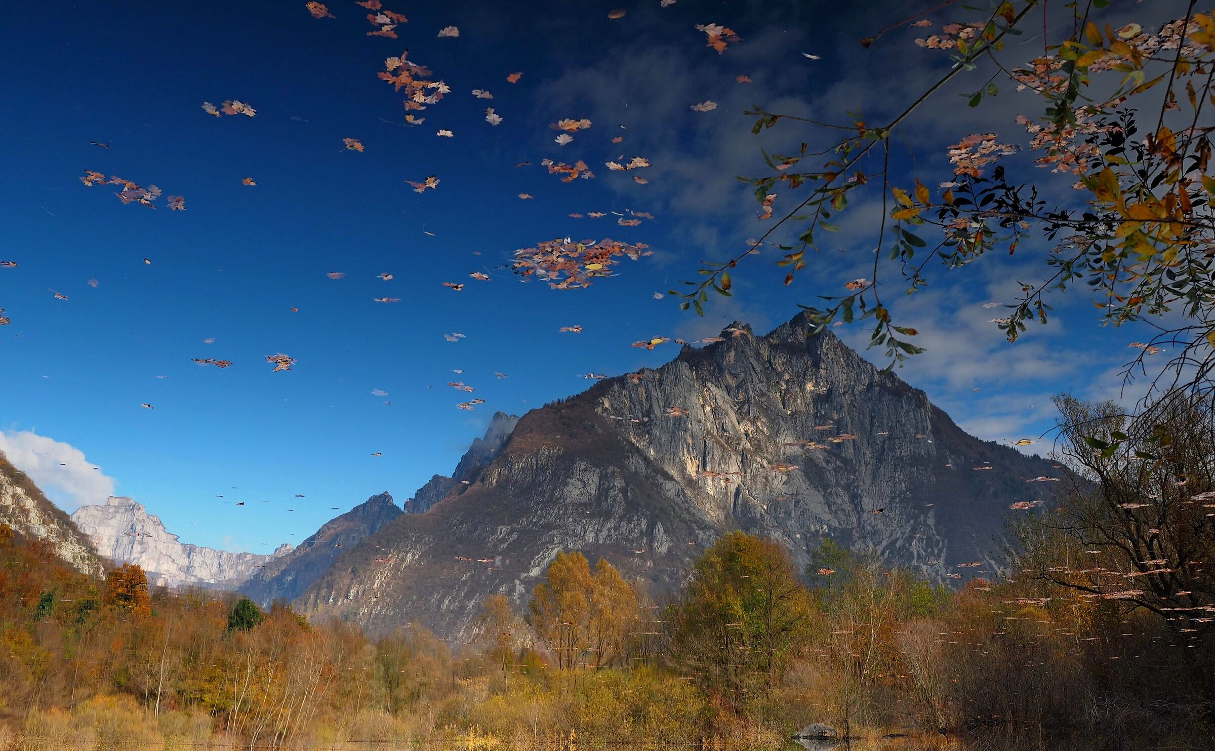 Autumn mirage