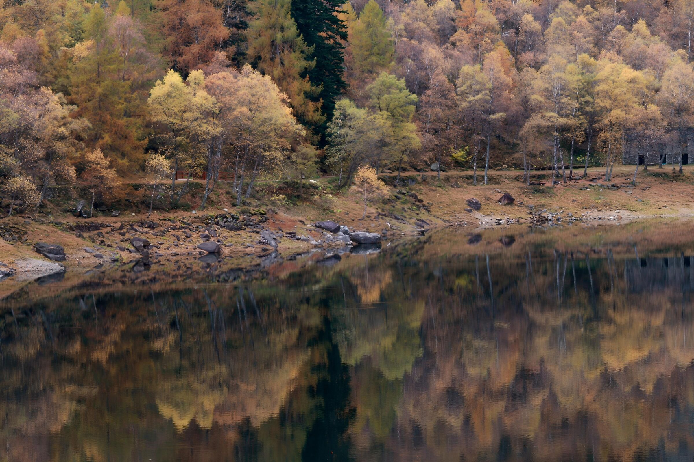 Autunno al lago di Antrona
