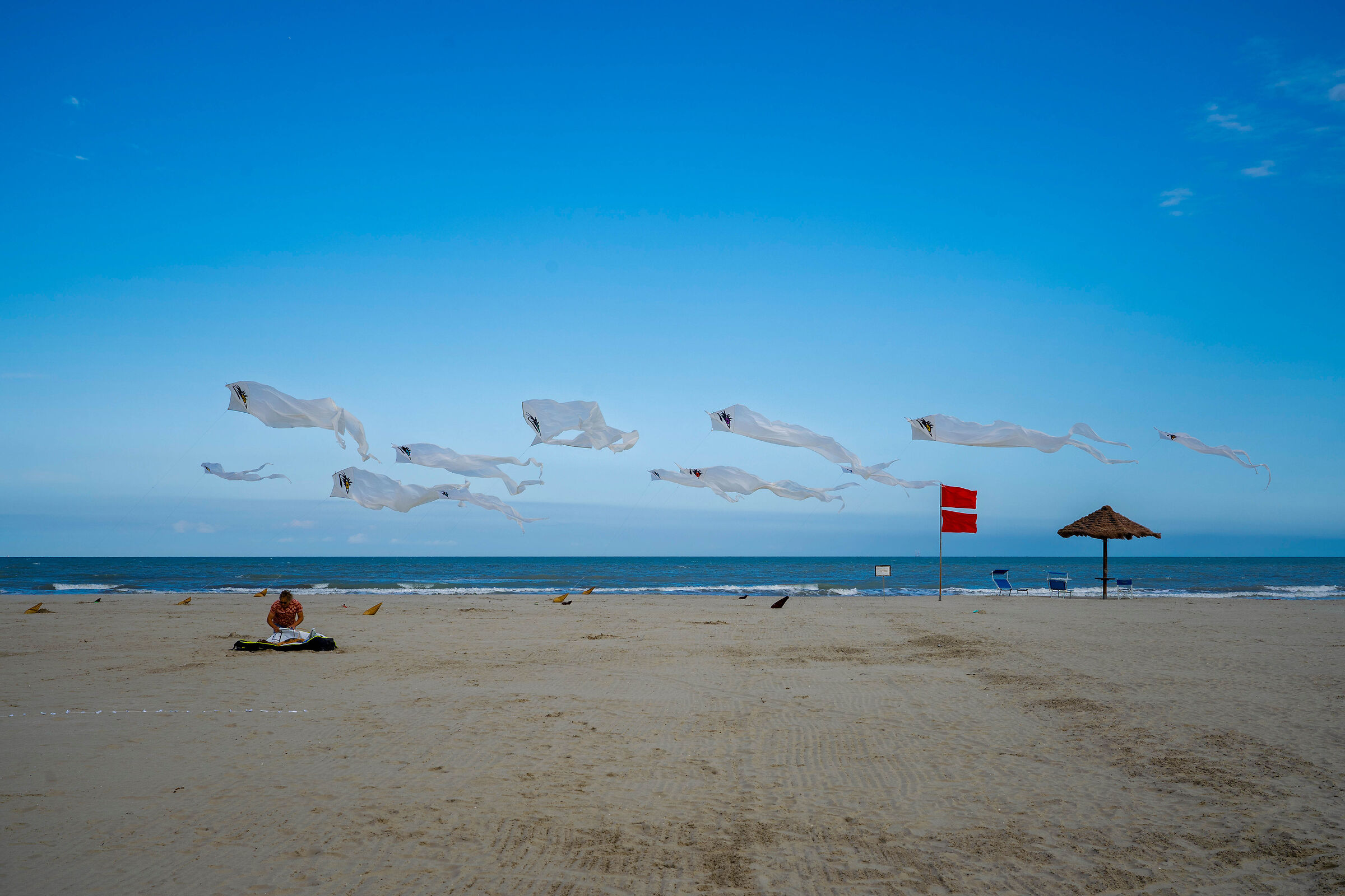 Strange flying beings