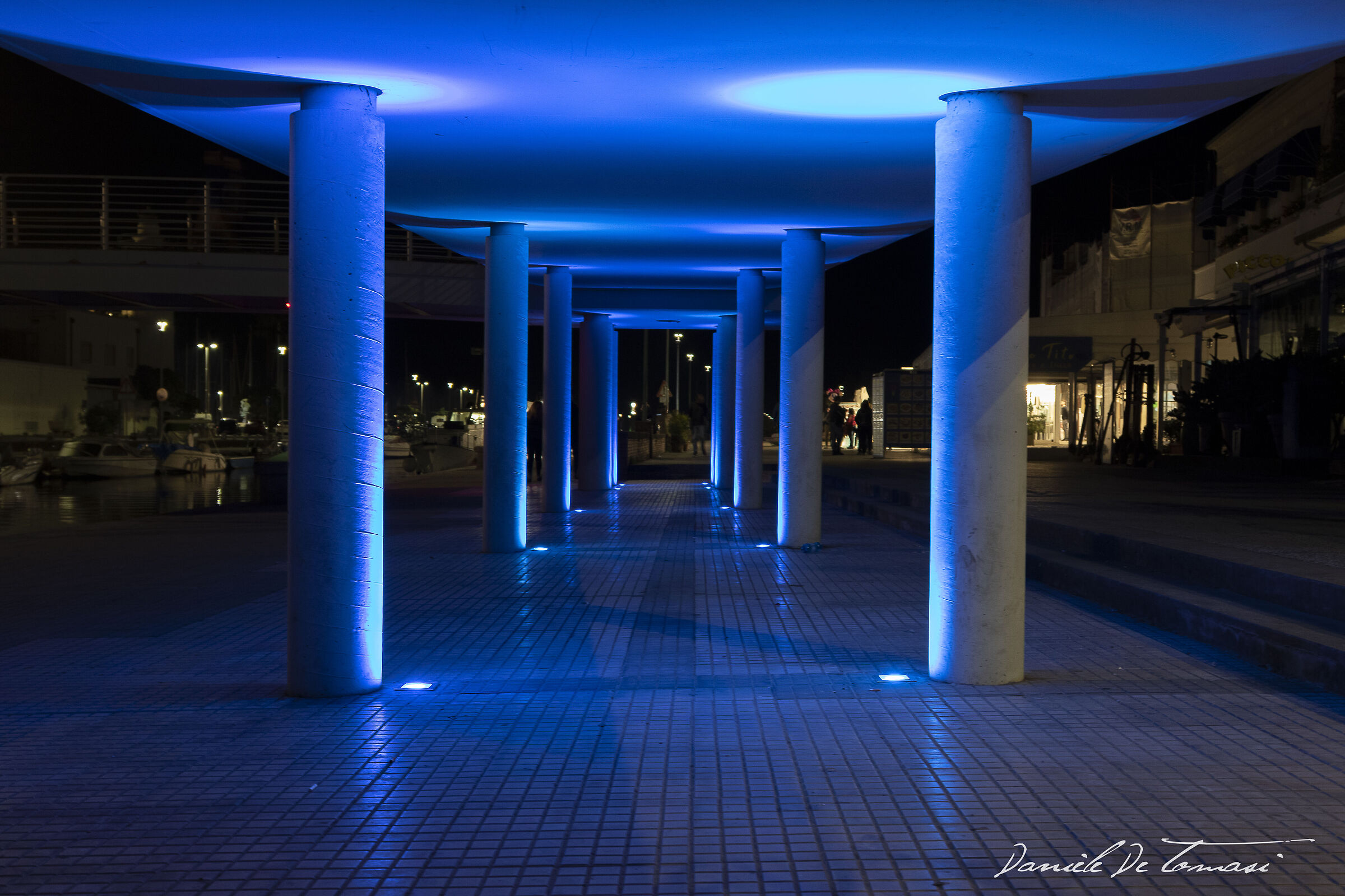 Night Blue
