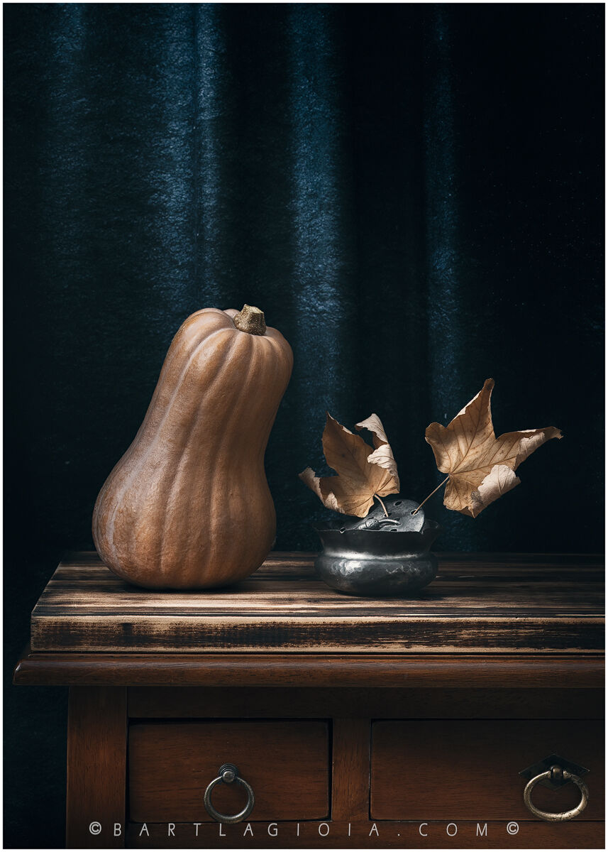 Untitled Photo
