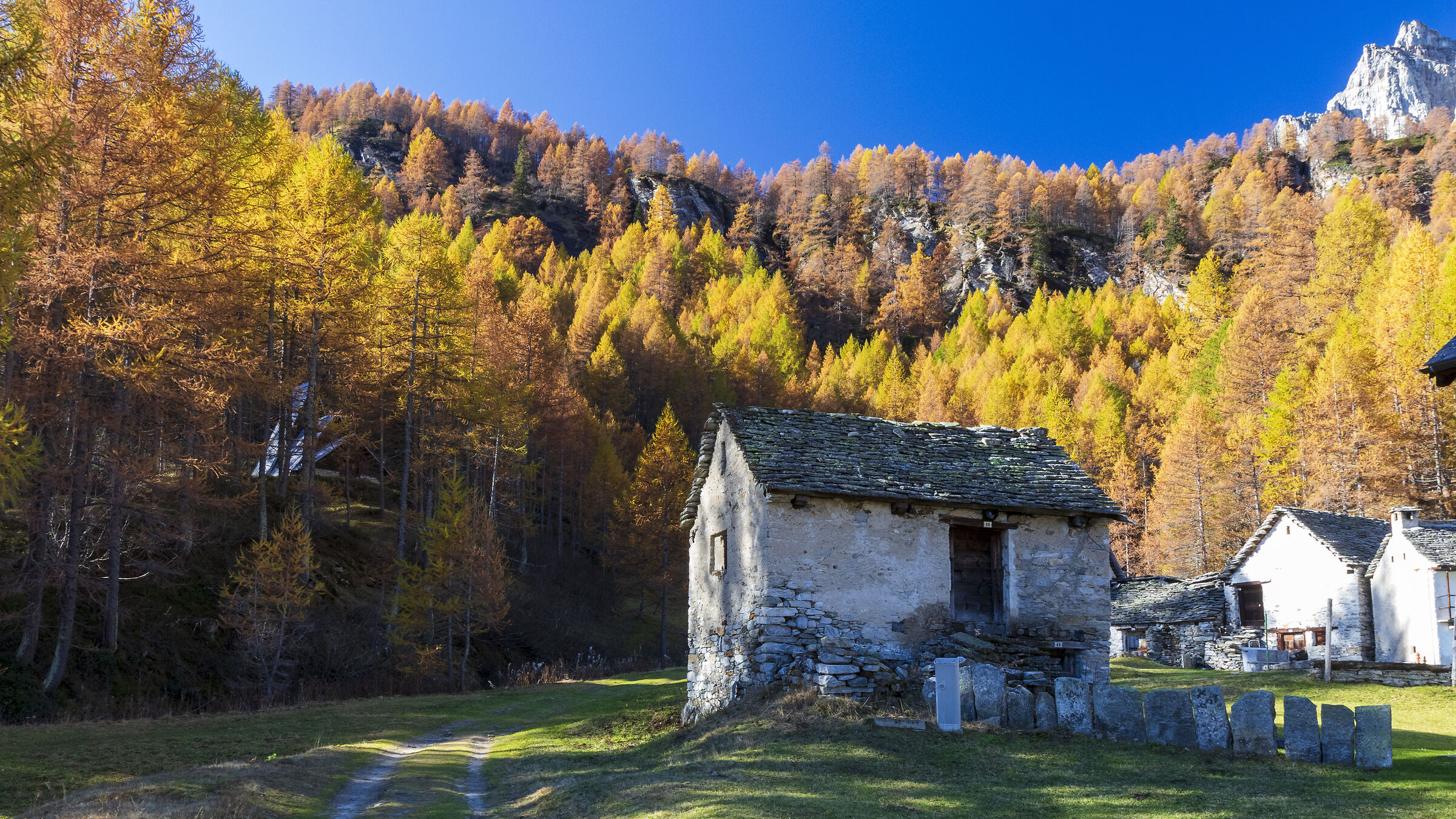 Pedemonte (Alpe Devero) in veste autunnale