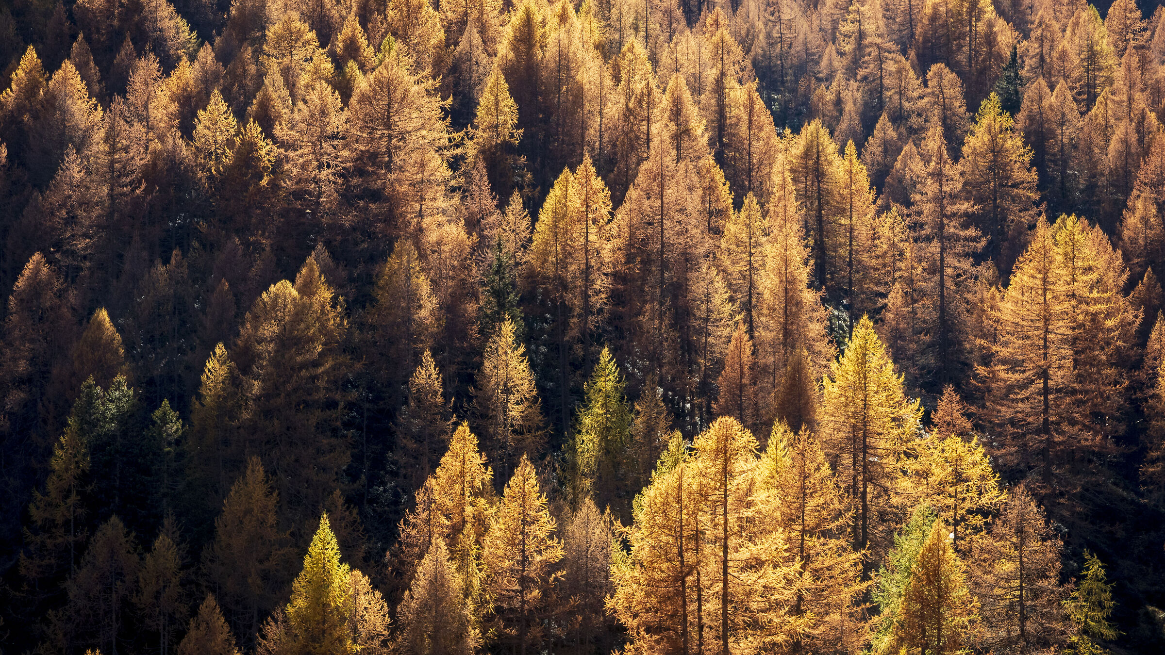 Autunno
