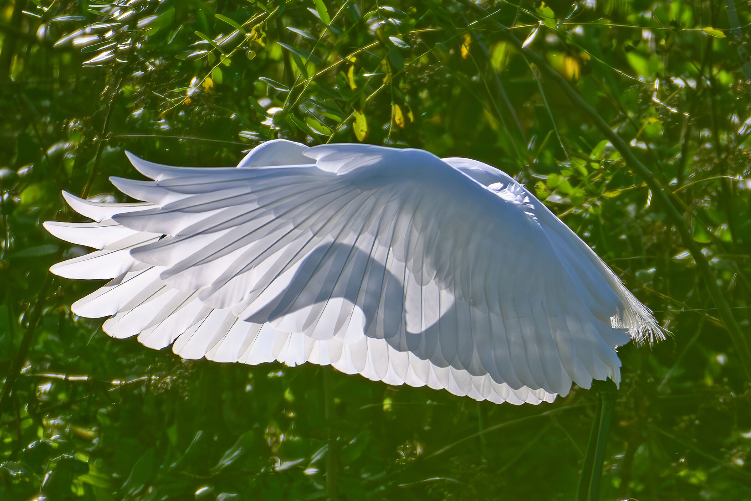 Light effects in the early hours of the day