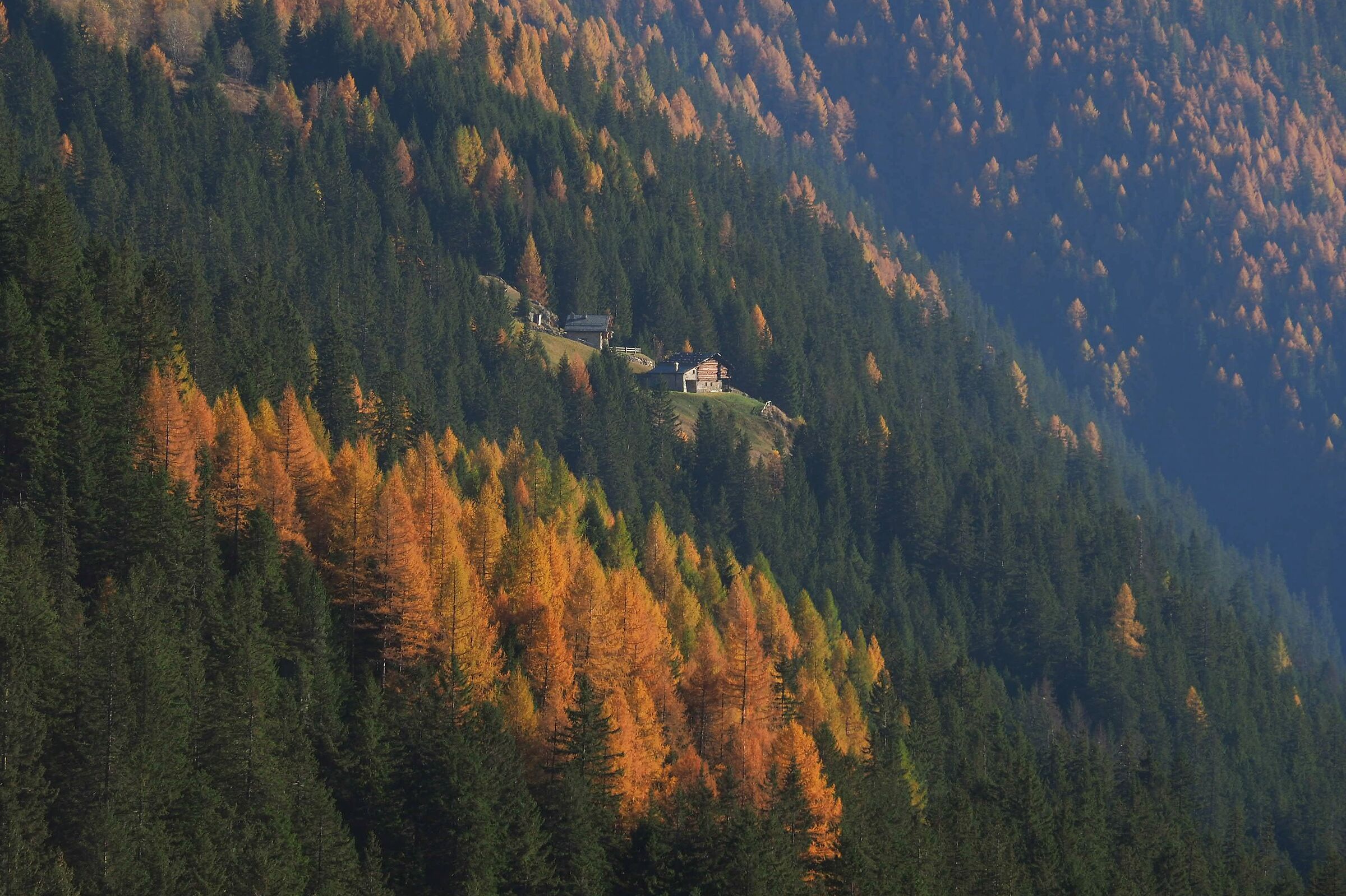 Val Grosina autunno