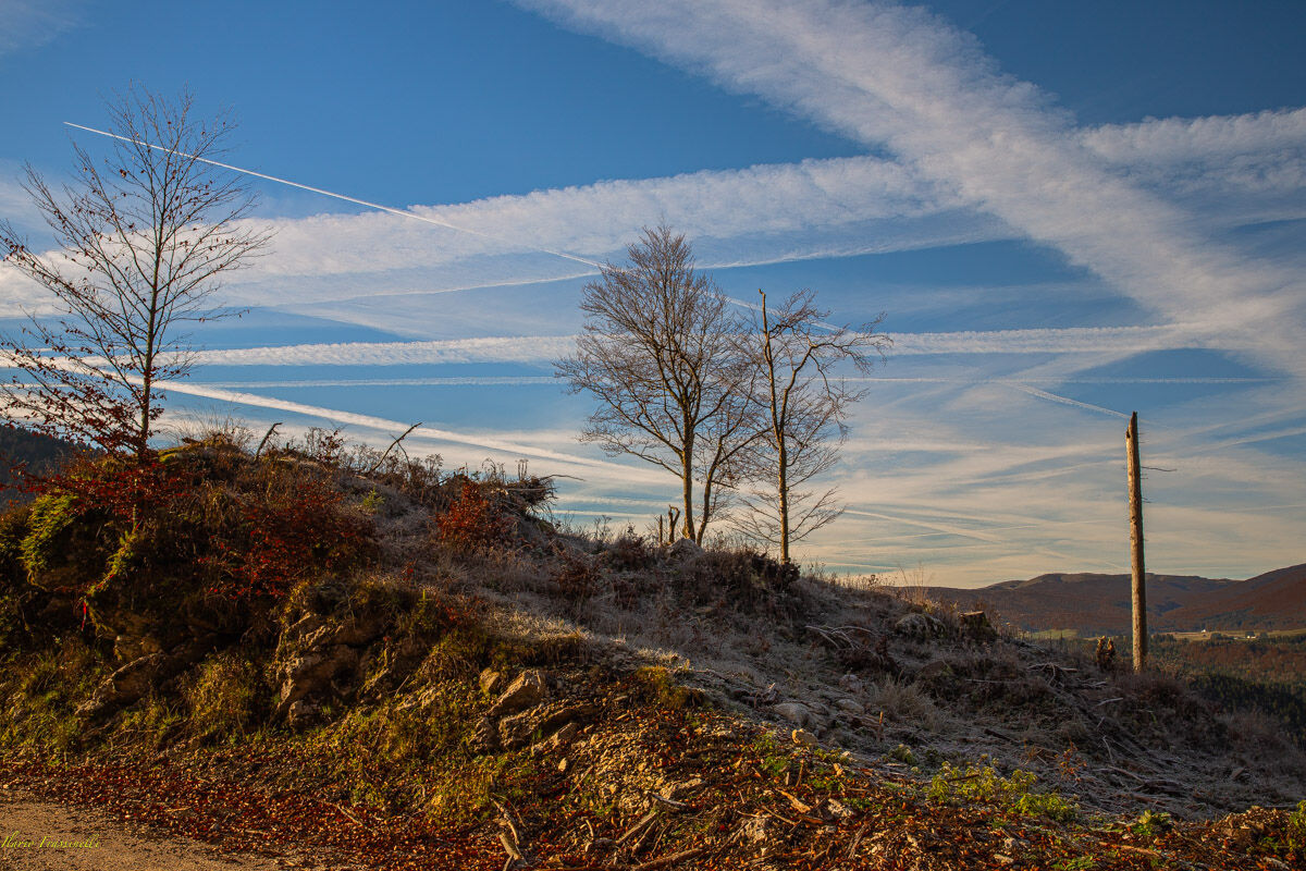 6 anni dopo tempesta Vaia