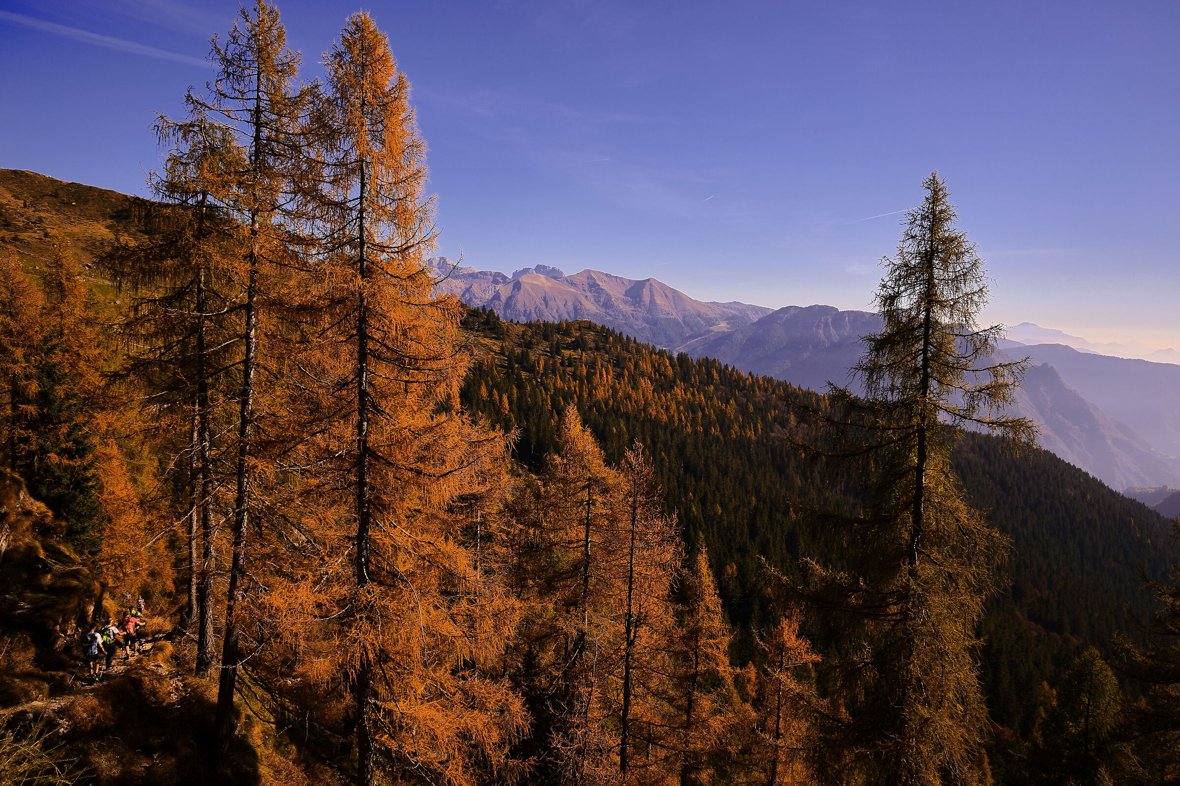 Untitled Photo