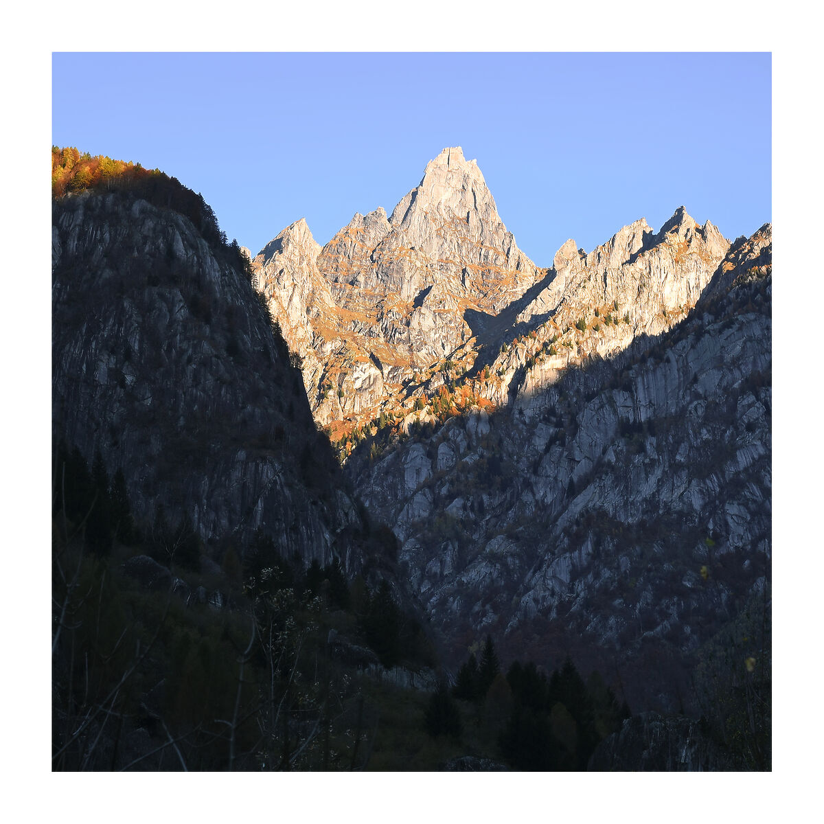 Senza Titolo
