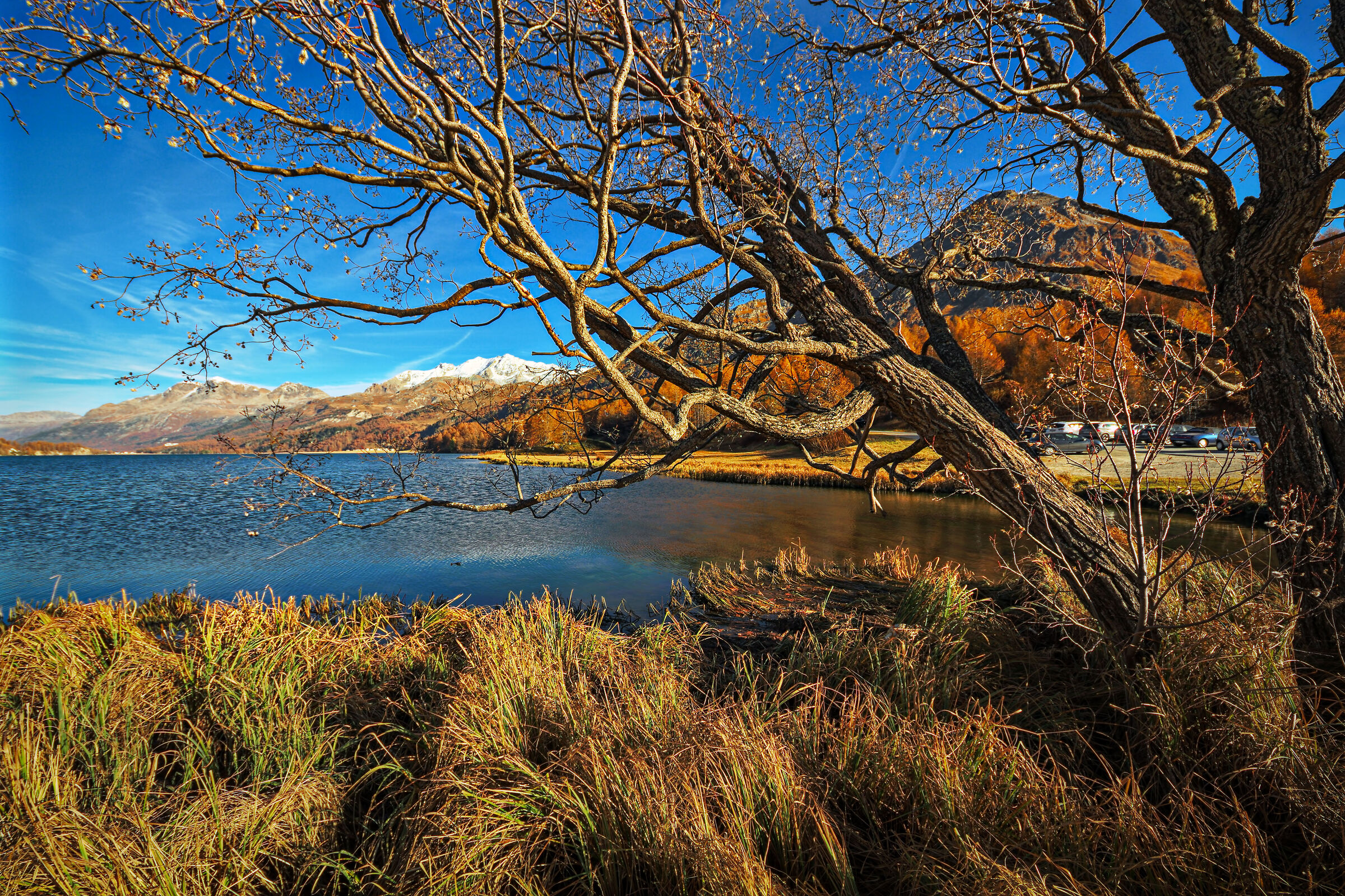 Island, Lake Sils - Switzerland