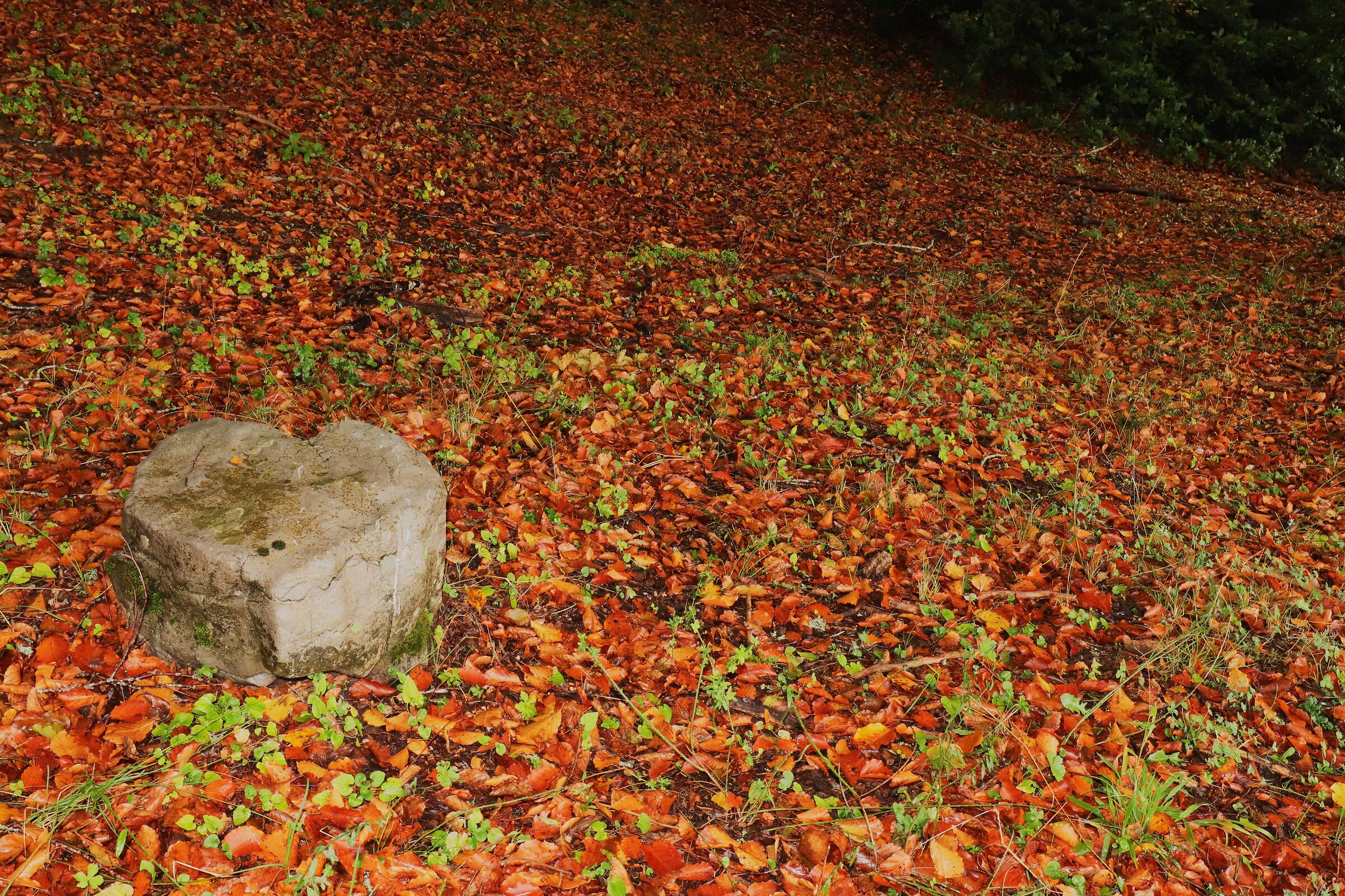 Heart of Stone II