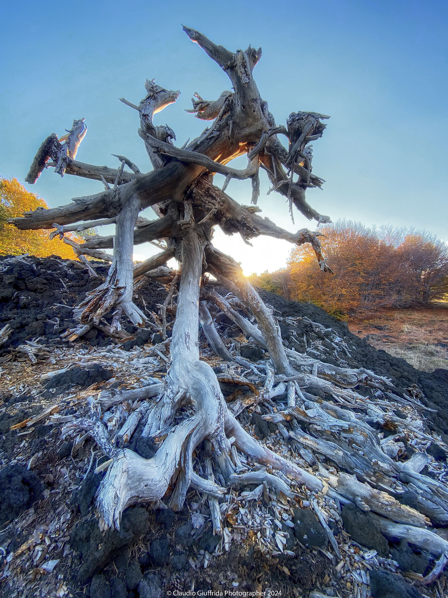 Once upon a time there was a giant