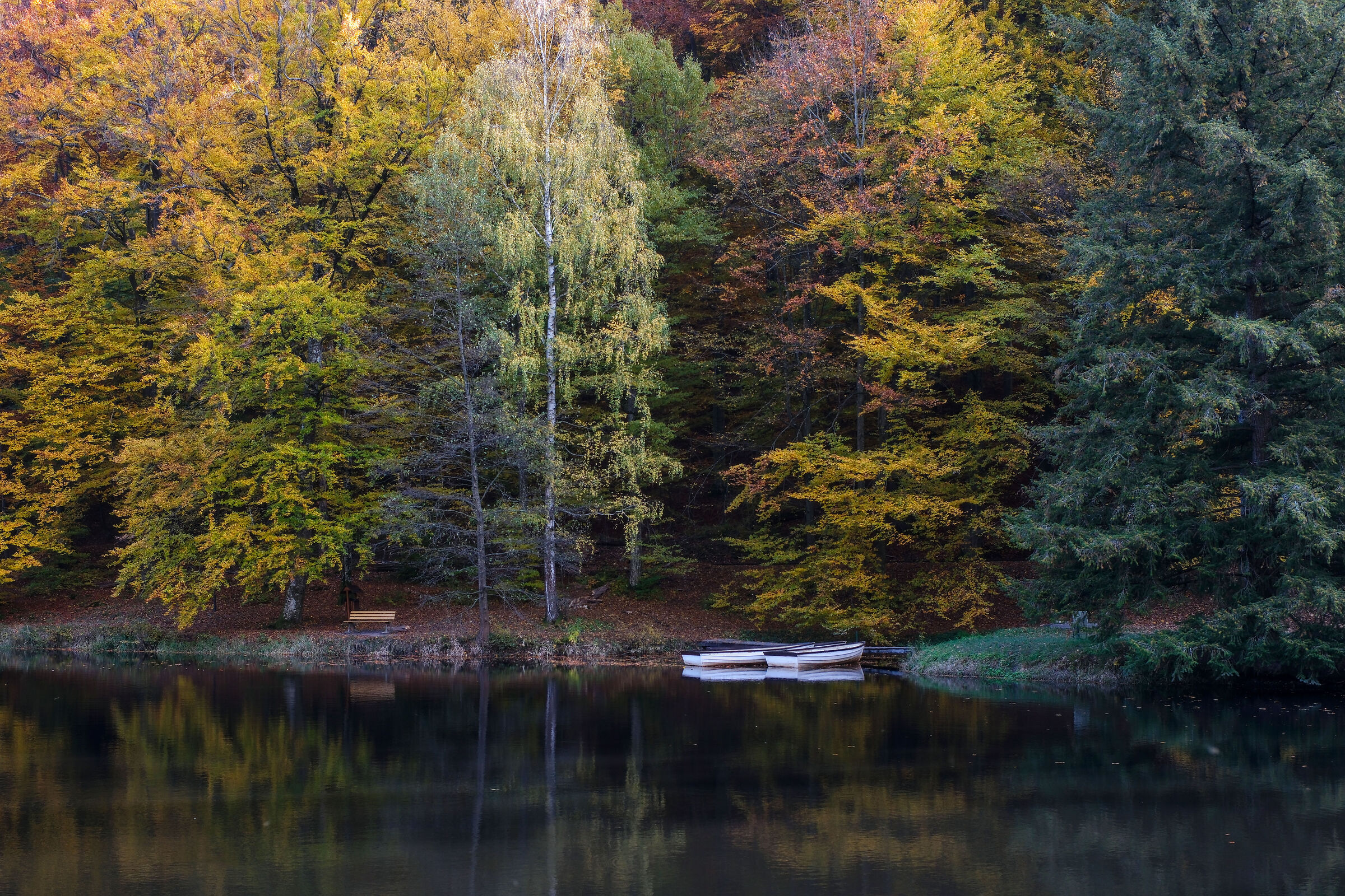 Colori al lago